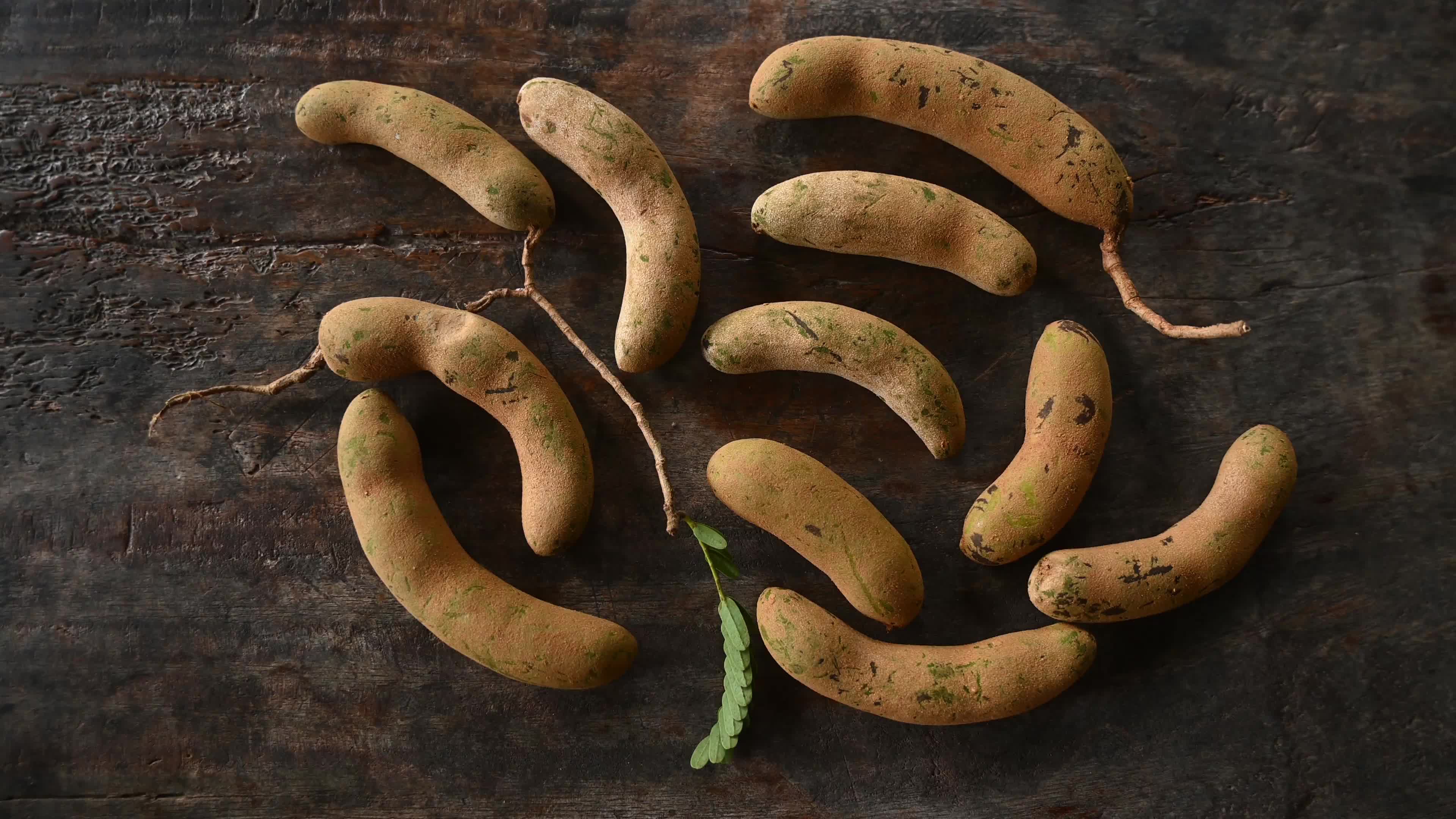 Tamarind Fruit -Tamarindus indica
