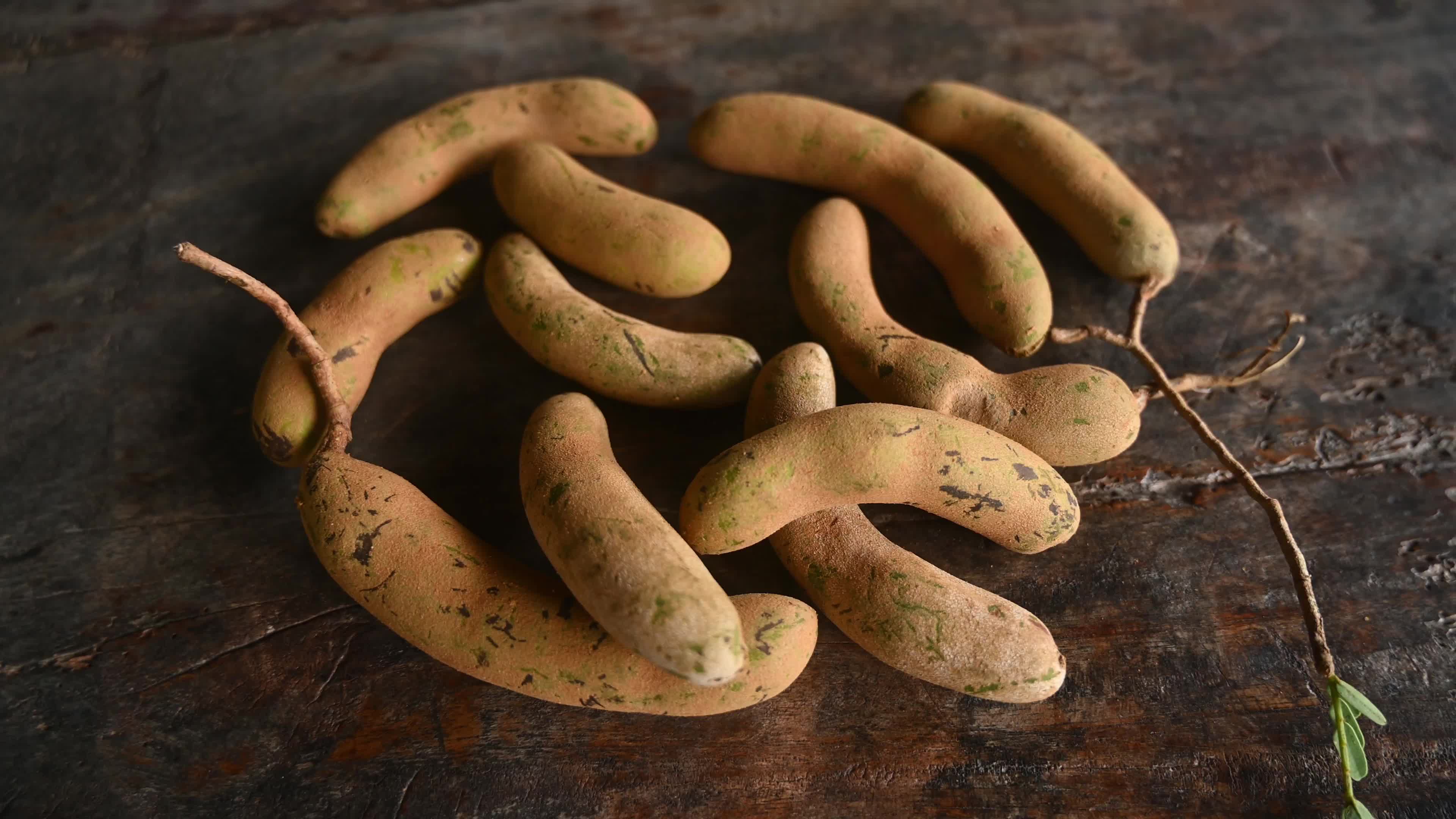 Tamarind Fruit -Tamarindus indica
