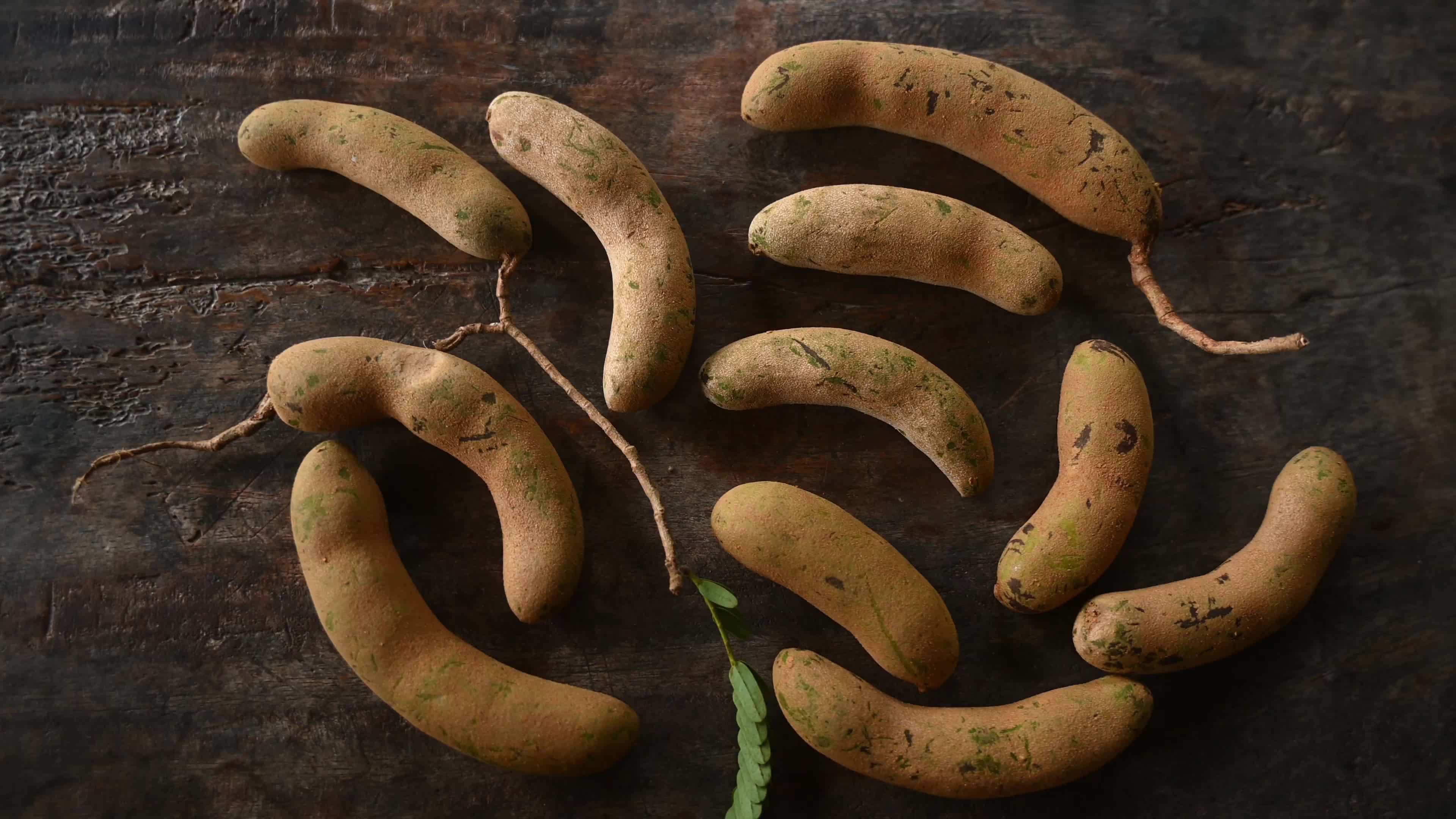 Tamarind Fruit -Tamarindus indica

