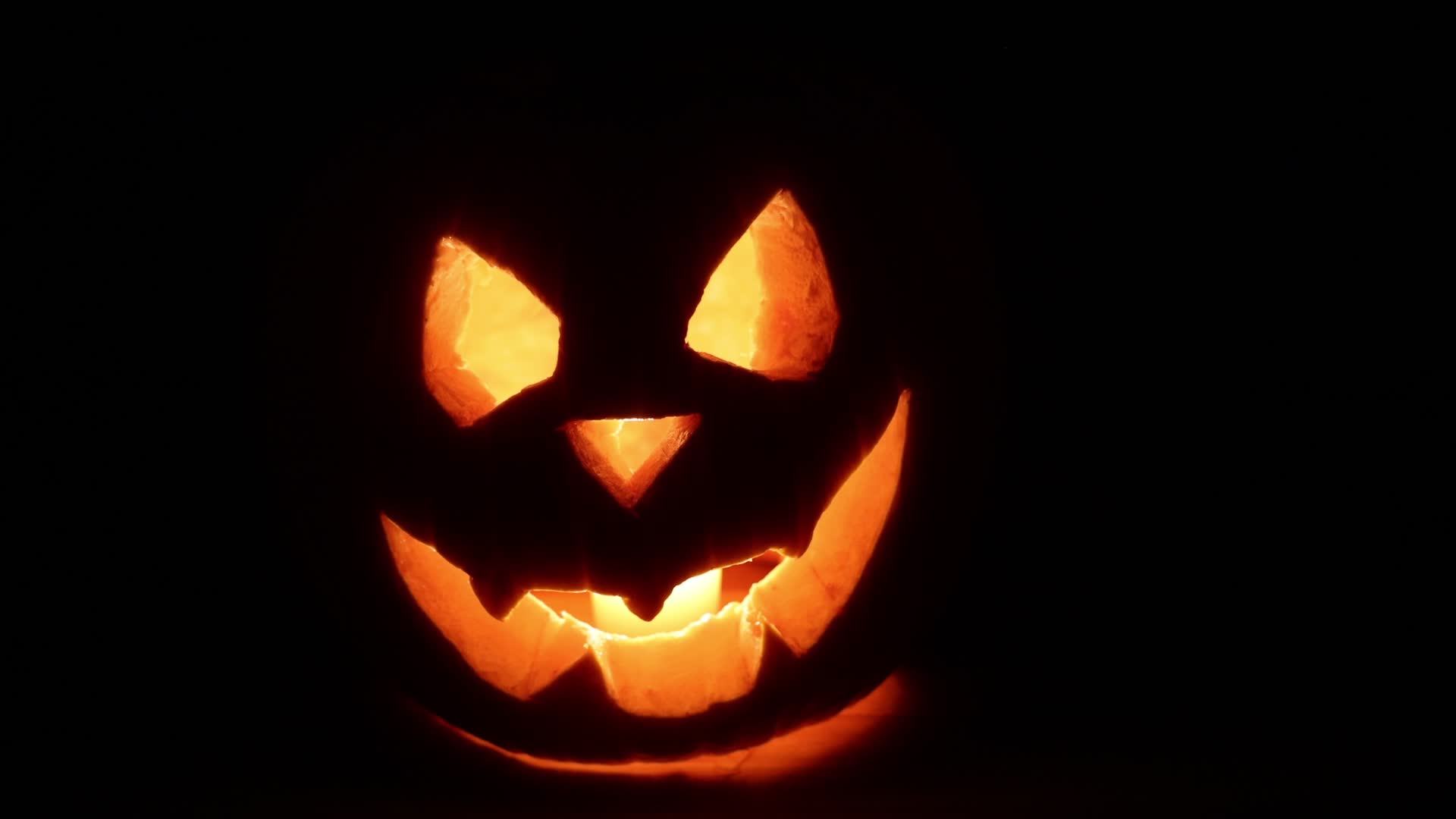 Halloween pumpkin carving in Toronto, Canada