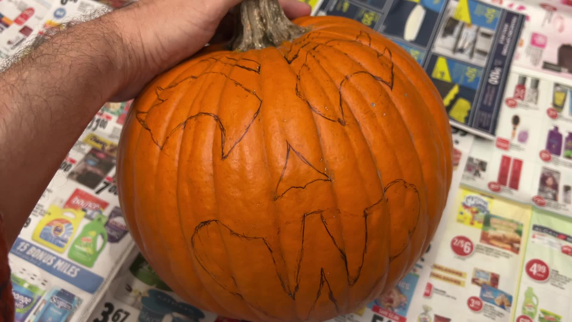 Halloween pumpkin carving in Toronto, Canada