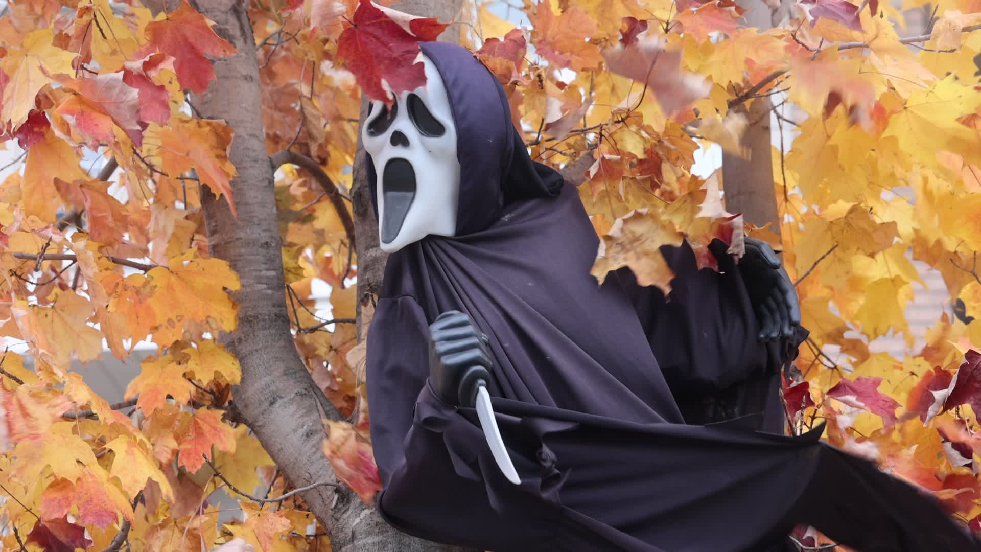 Halloween in Canada