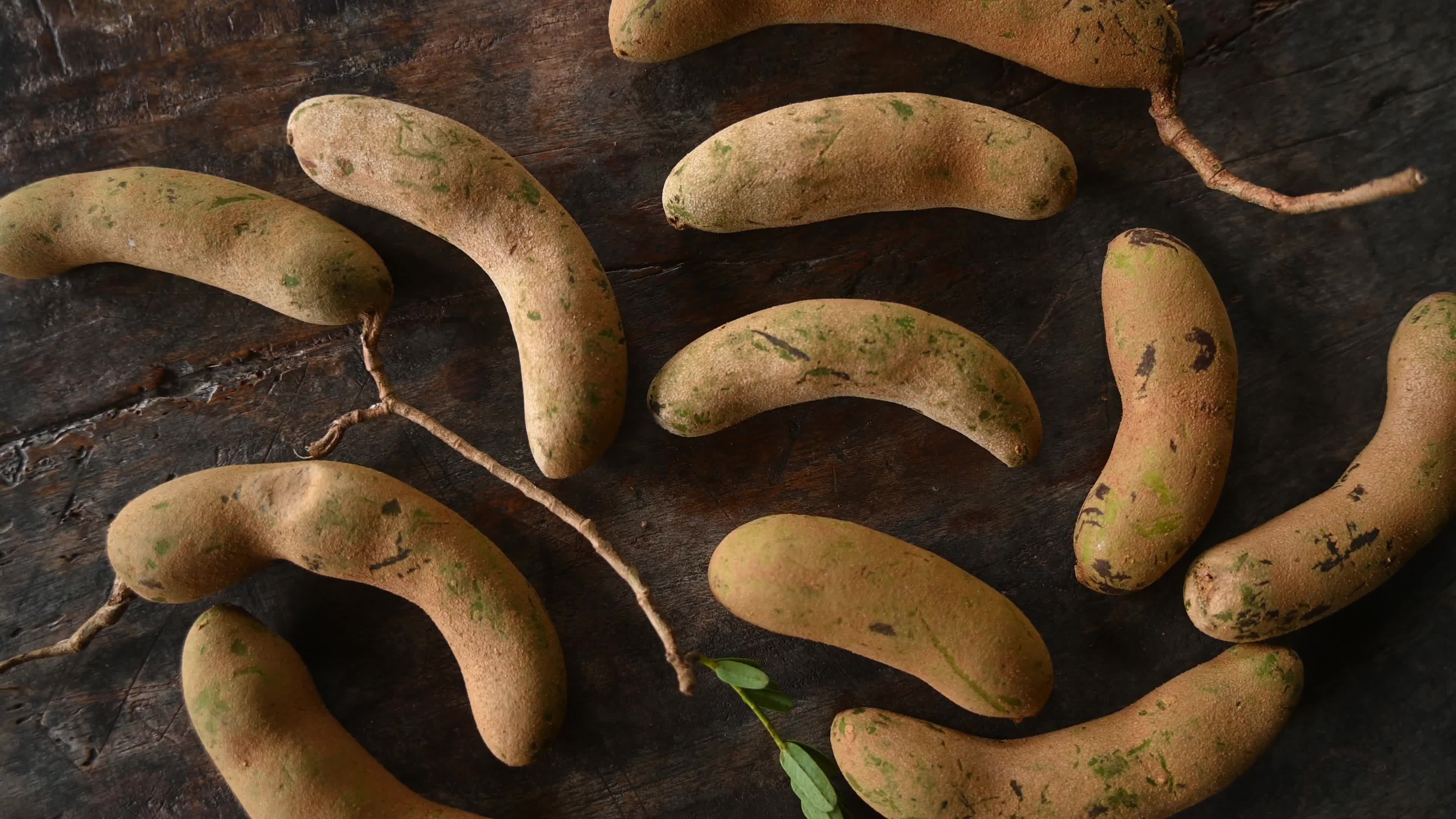 Tamarind Fruit -Tamarindus indica