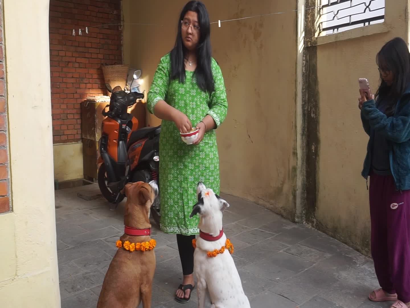Celebrating Dog worship day or Kukur Tihar In Nepal