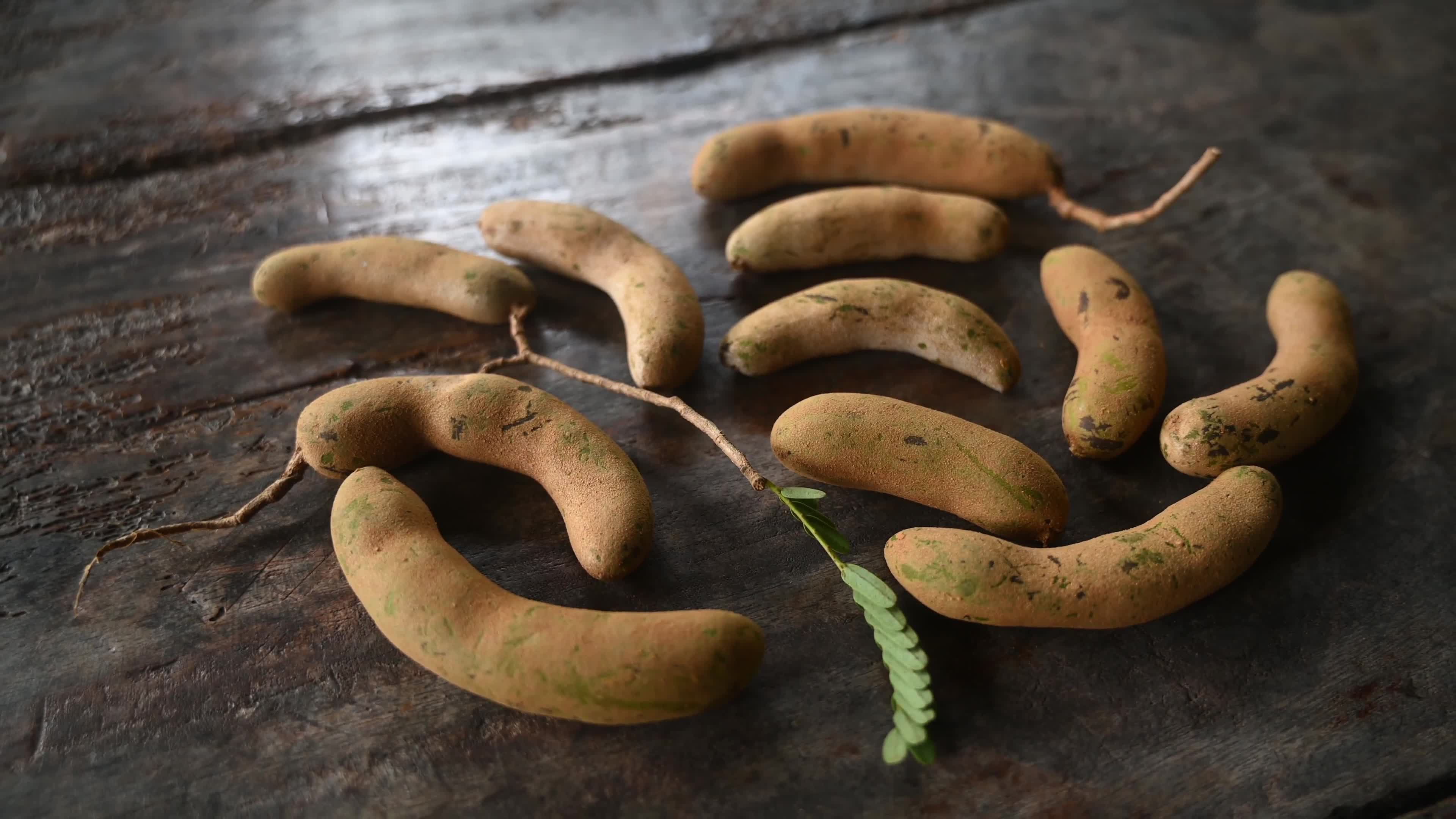 Tamarind Fruit -Tamarindus indica