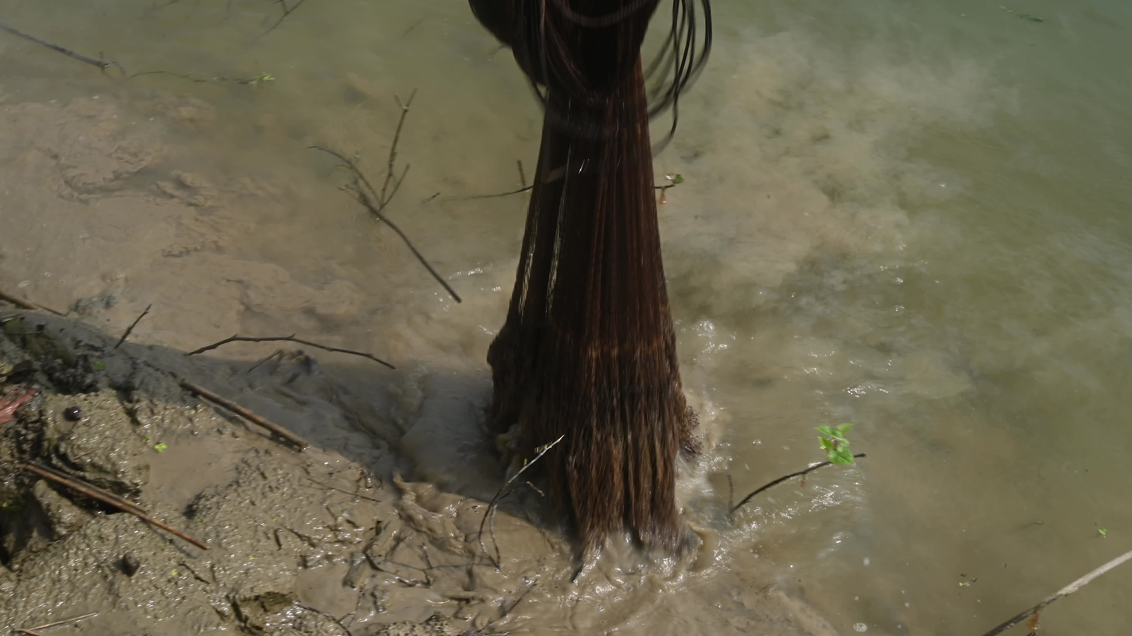 Fish in the Jalangi River has decreased due to pollution 
