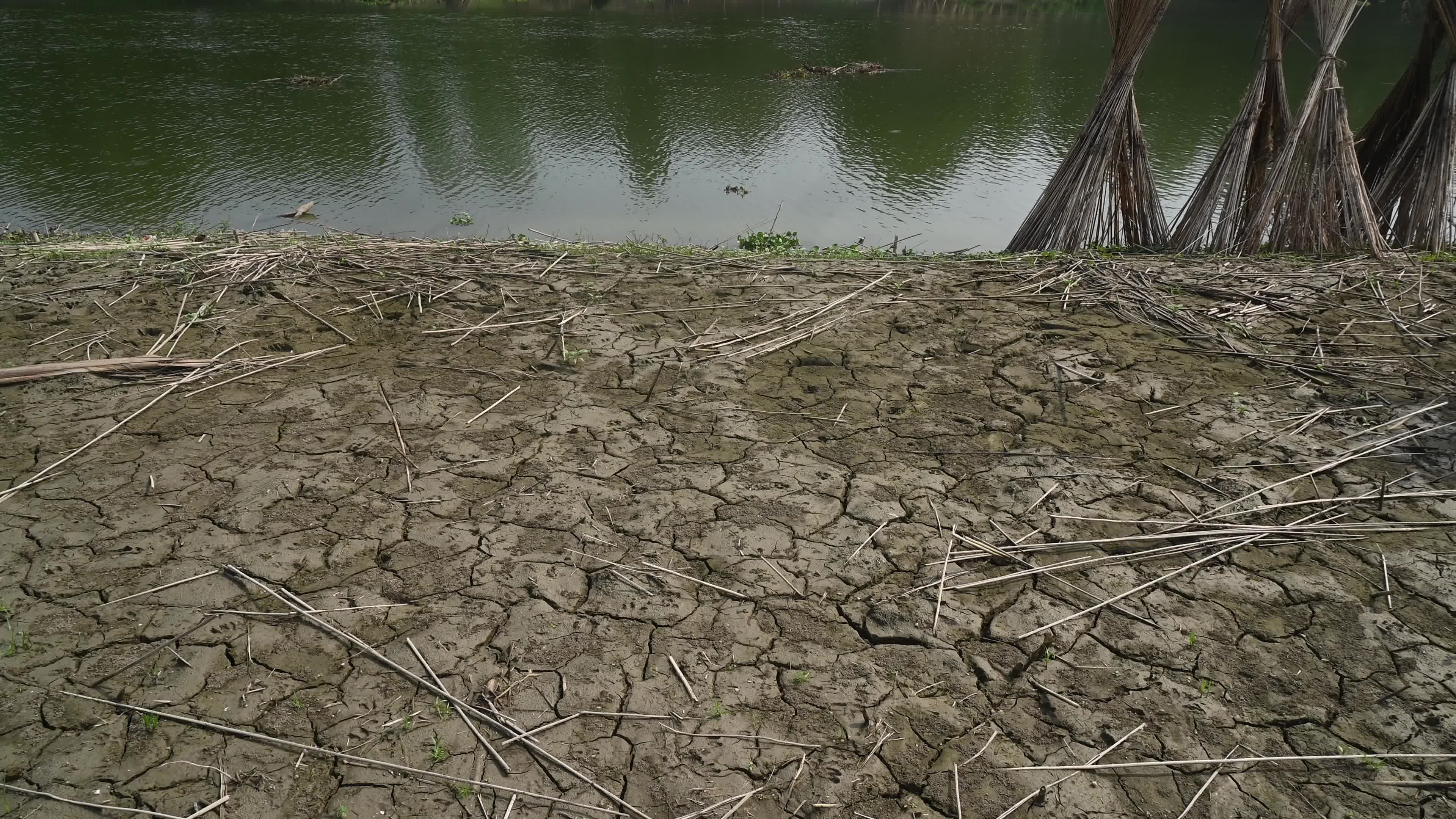 Fish in the Jalangi River has decreased due to pollution 