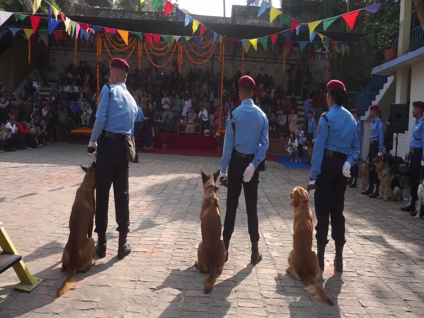 Celebrating Dog worship day or Kukur Tihar In Nepal