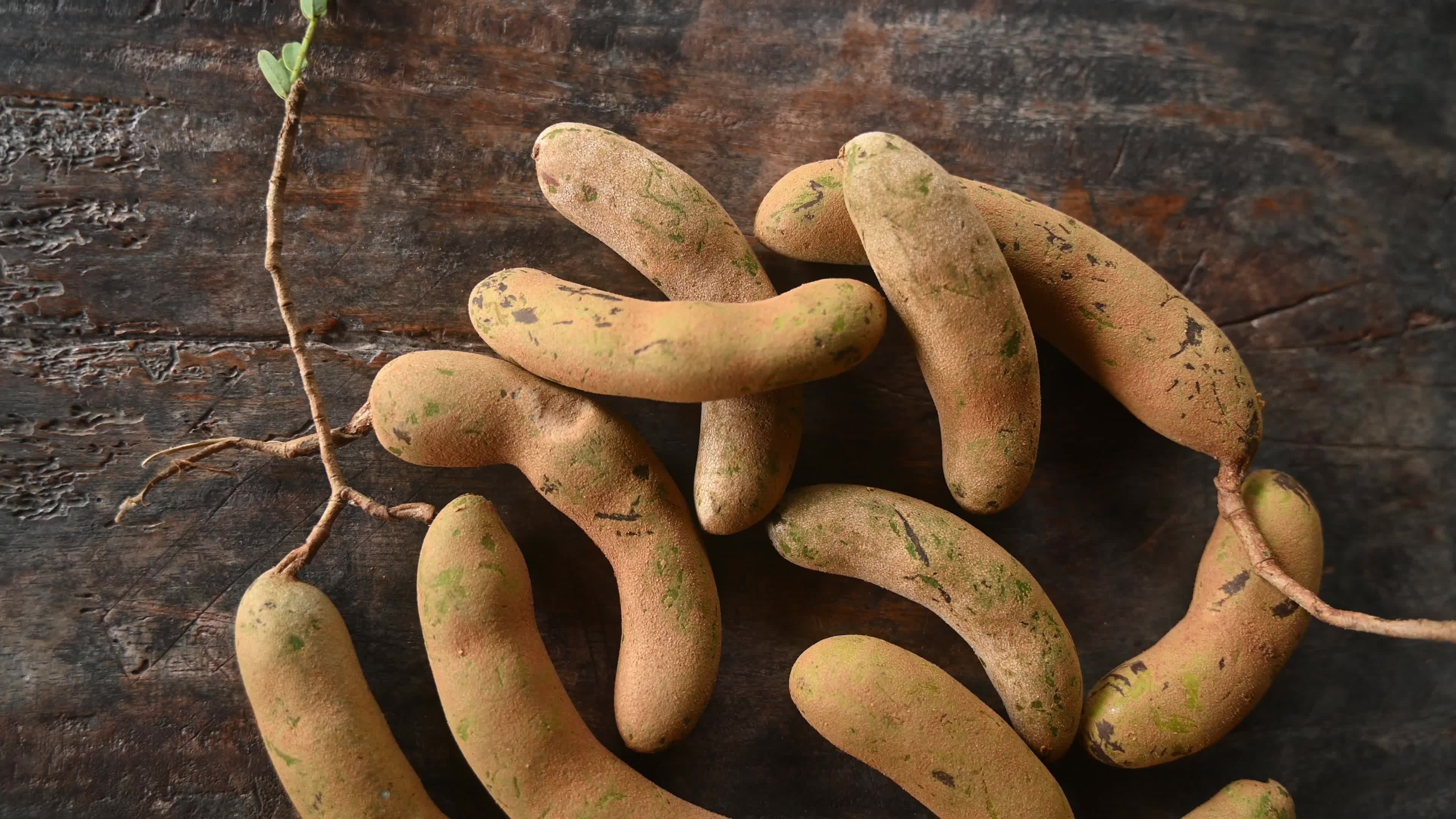 Tamarind Fruit -Tamarindus indica
