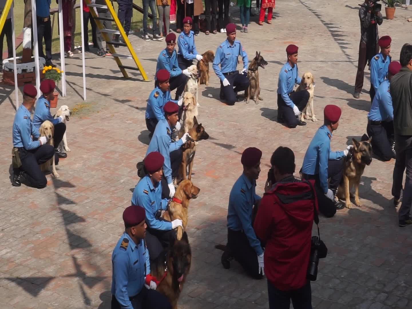 Celebrating Dog worship day or Kukur Tihar In Nepal