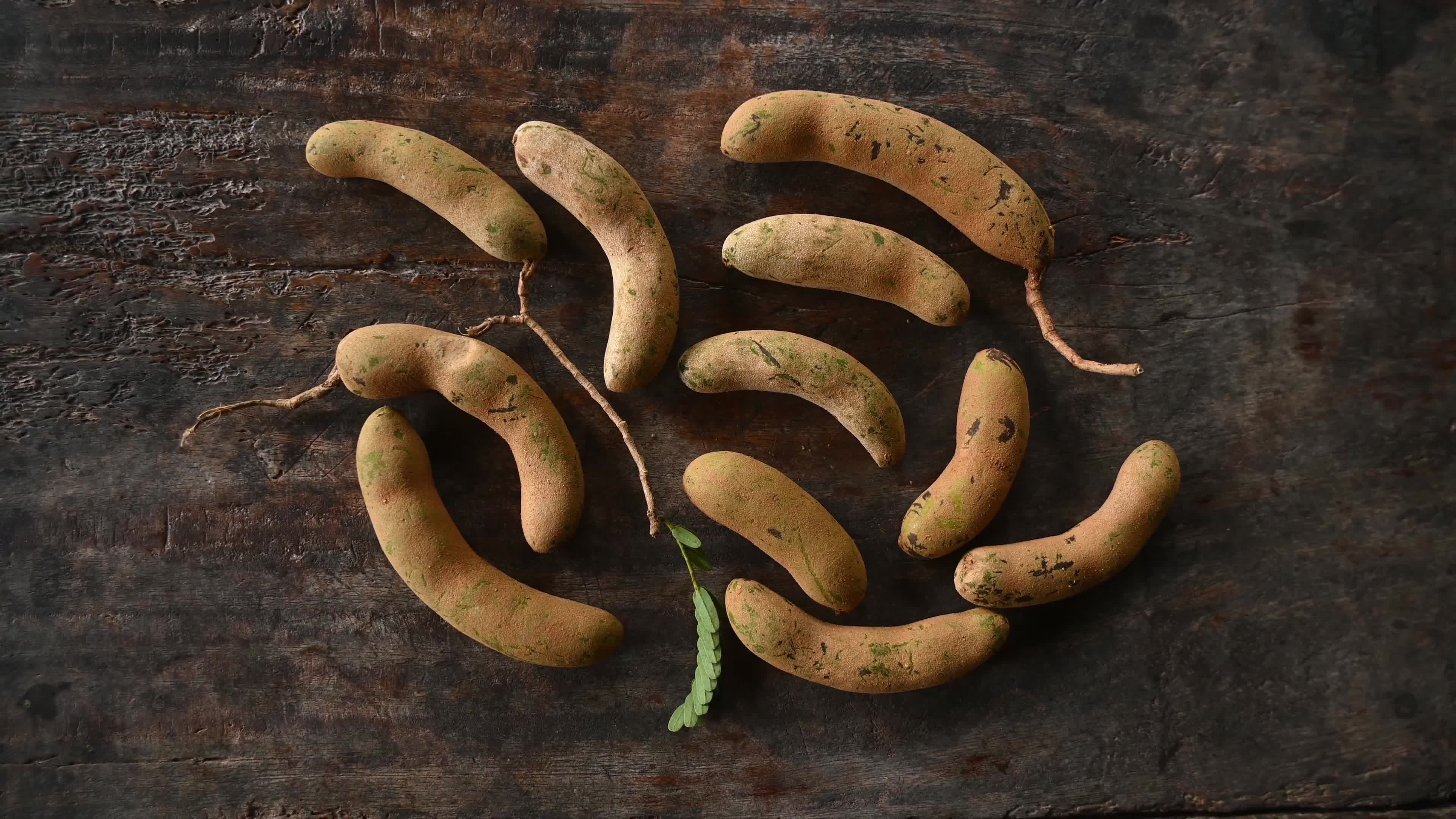 Tamarind Fruit -Tamarindus indica