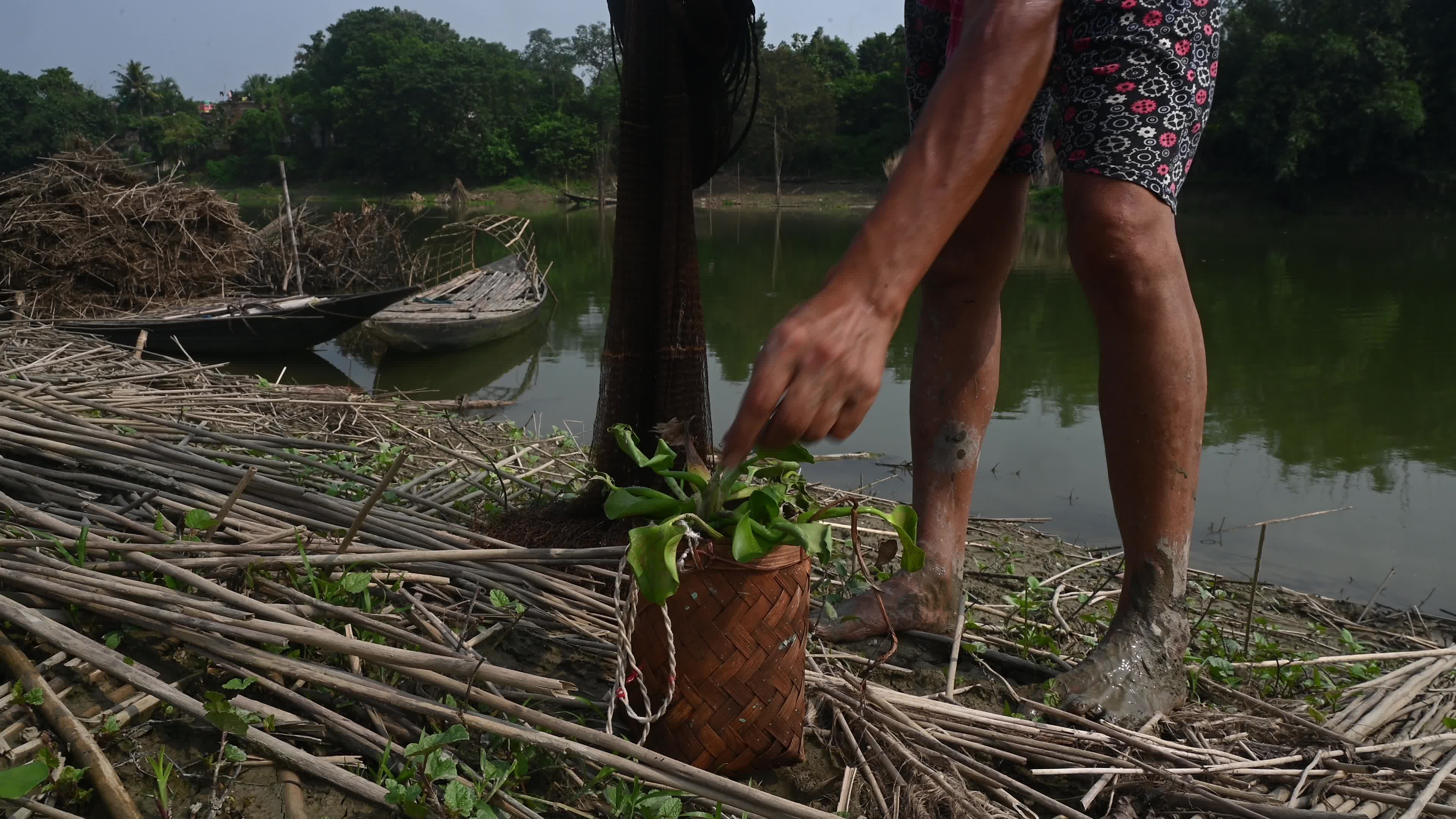 Fish in the Jalangi River has decreased due to pollution 