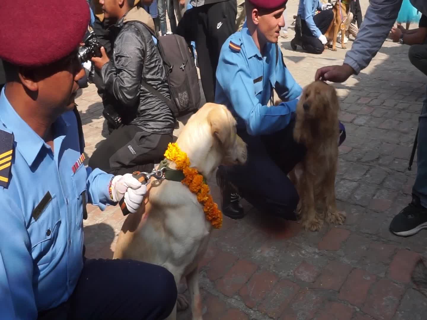 Celebrating Dog worship day or Kukur Tihar In Nepal