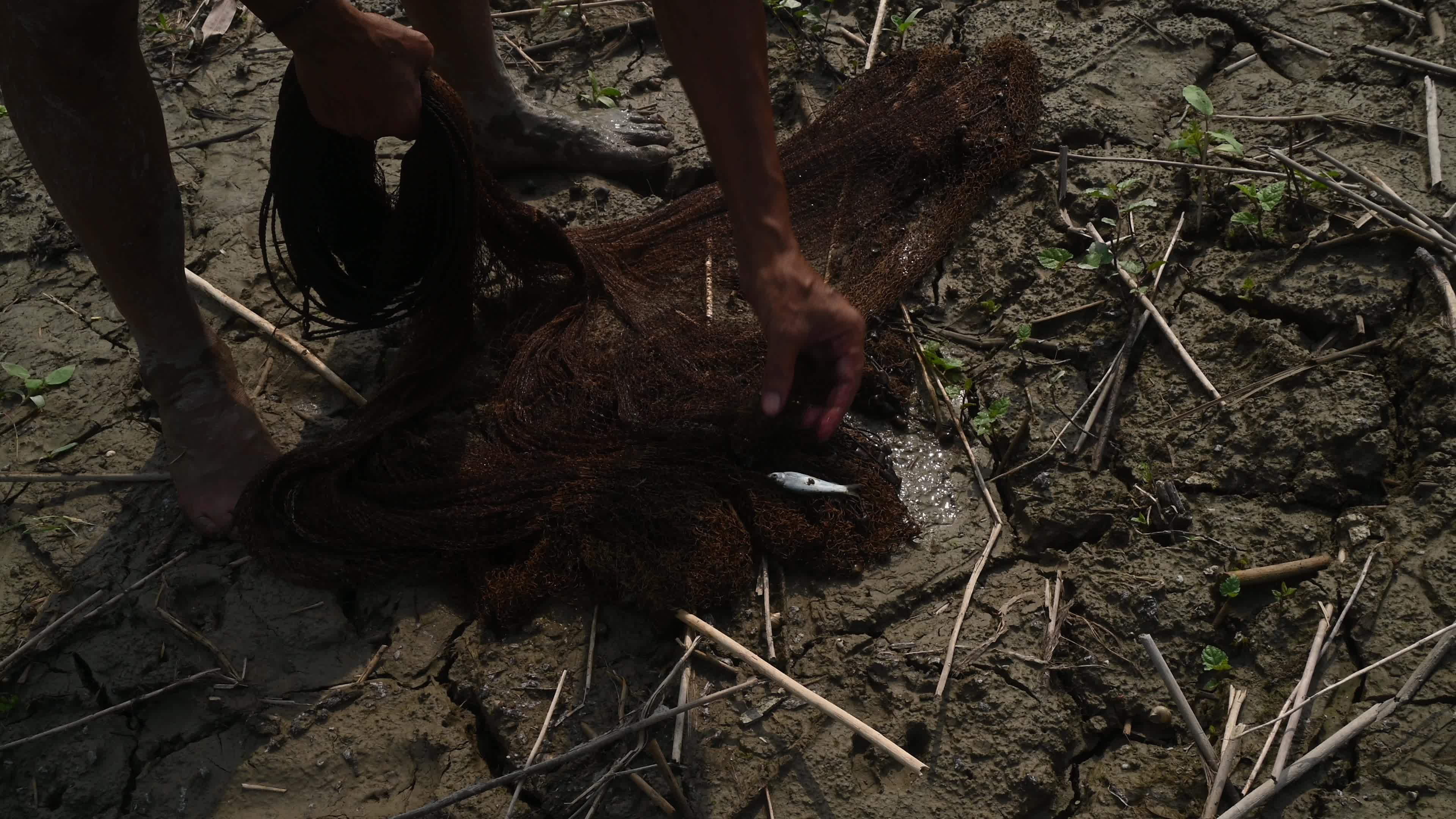 Fish in the Jalangi River has decreased due to pollution 