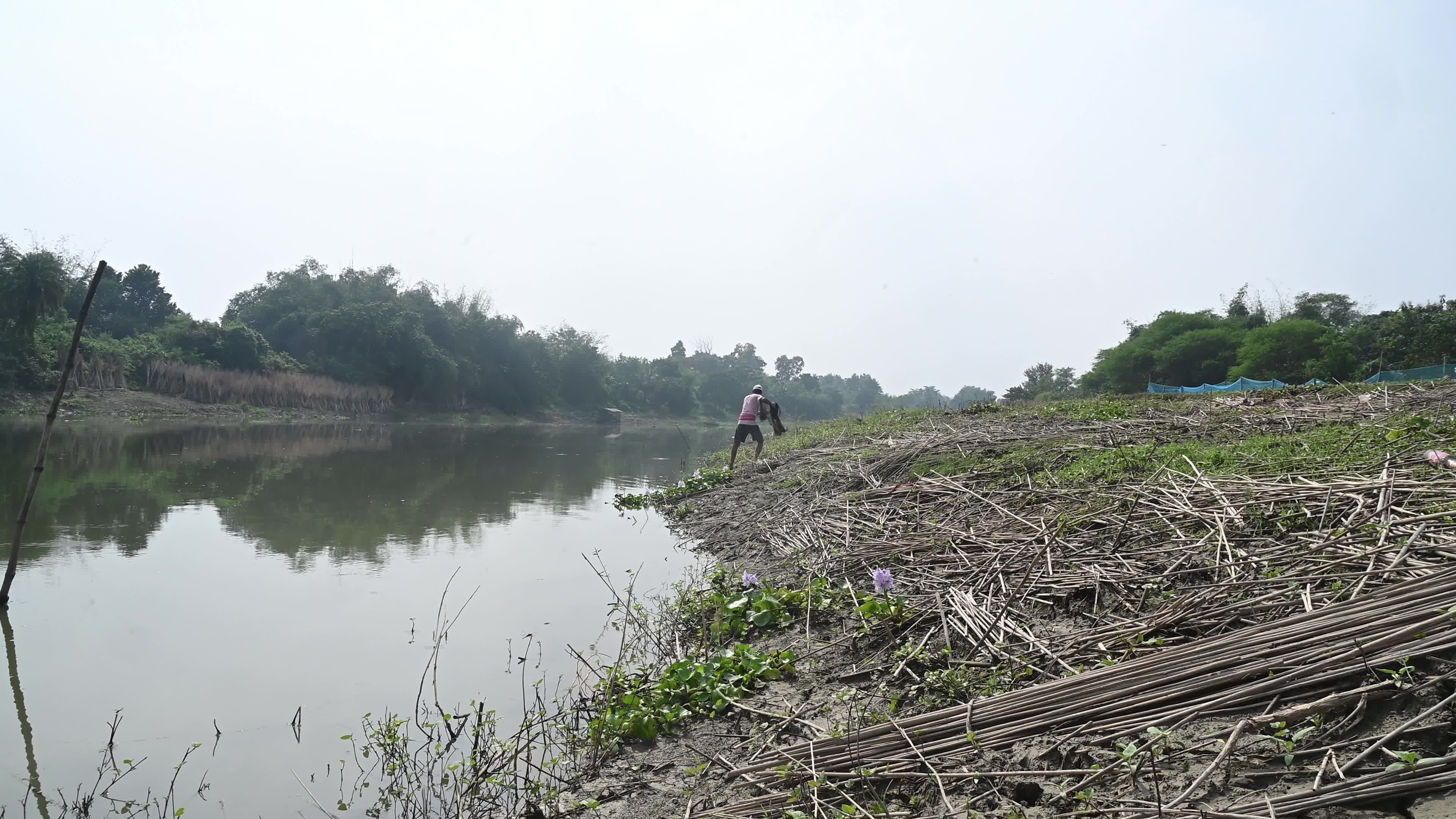 Fish in the Jalangi River has decreased due to pollution 