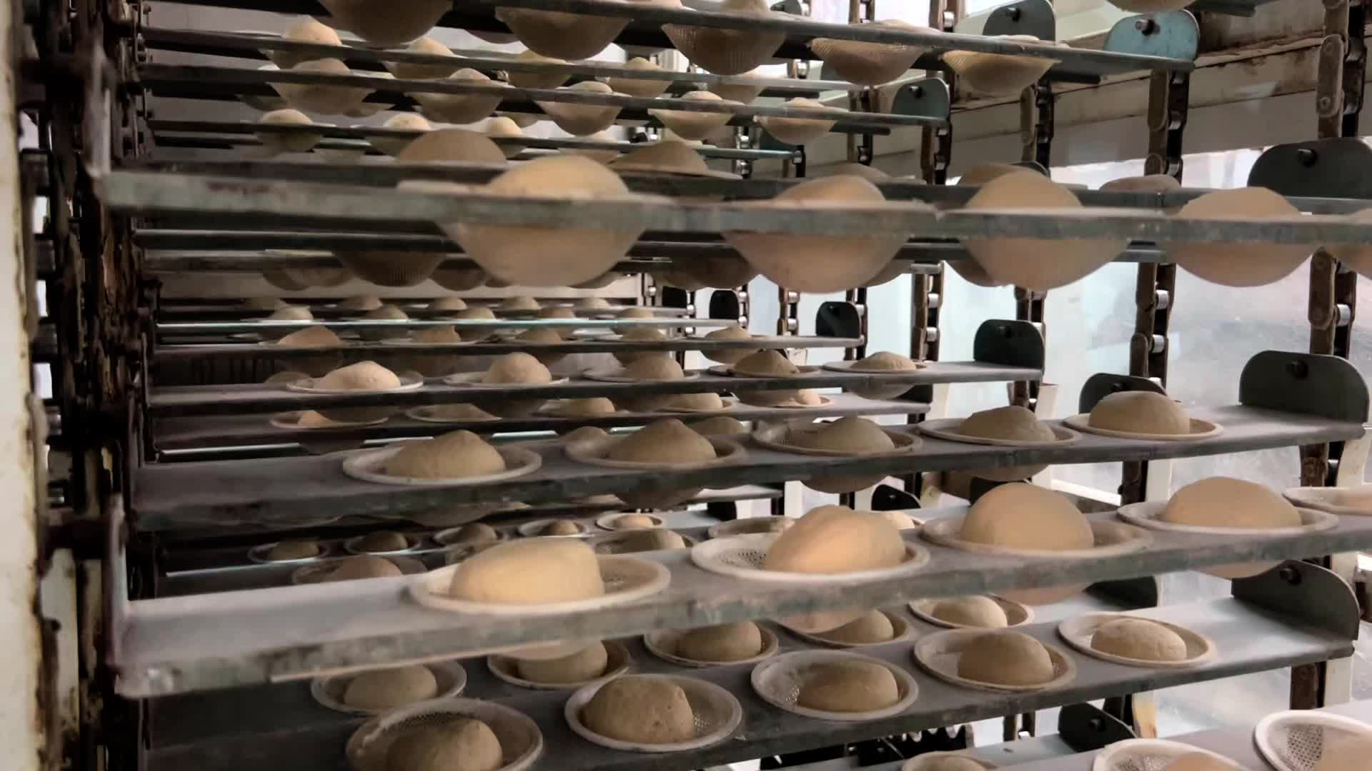 Palestinians Queue for Bread in Khan Yunis Amid Gaza Conflict
