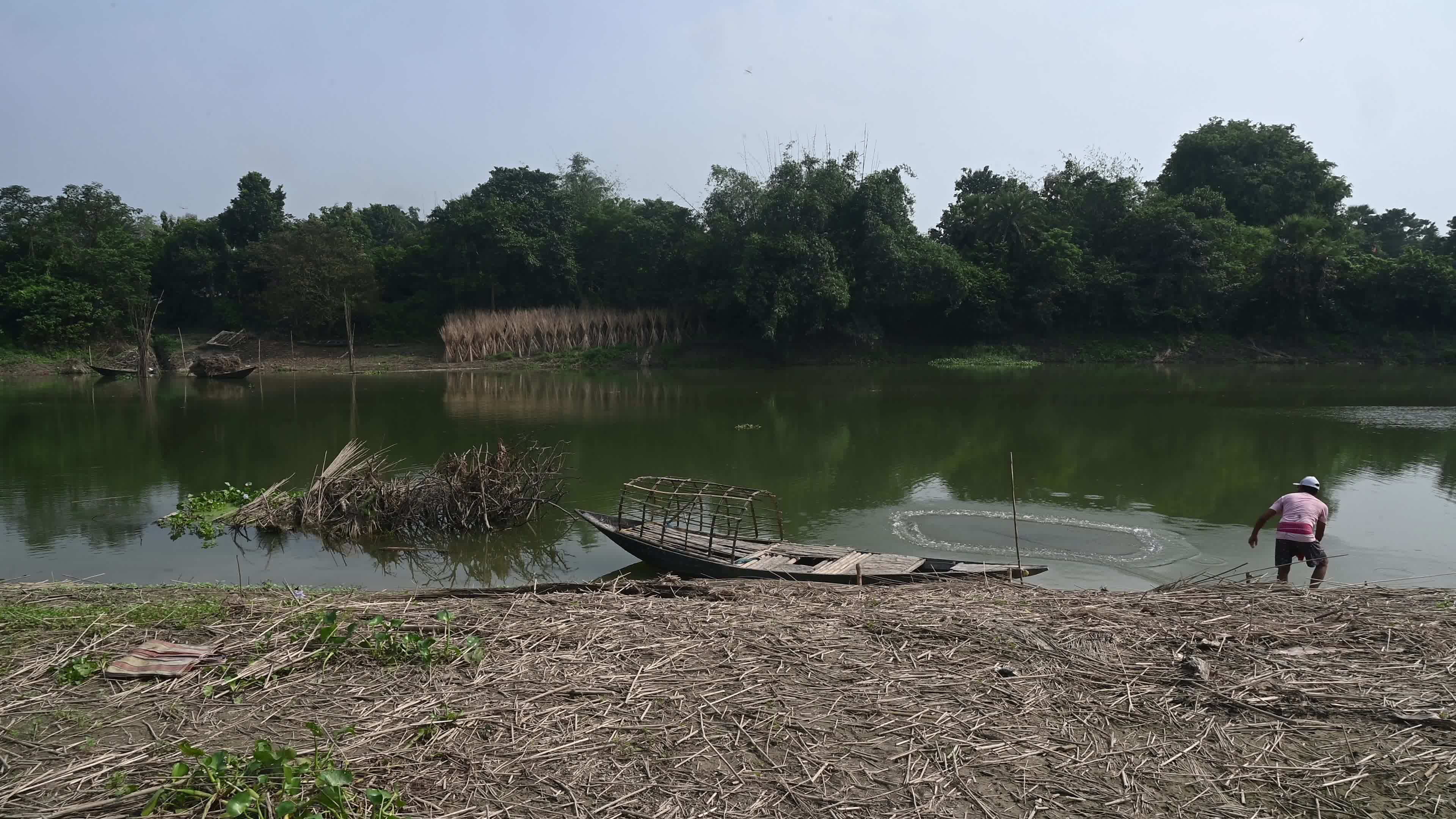 Fish in the Jalangi River has decreased due to pollution 