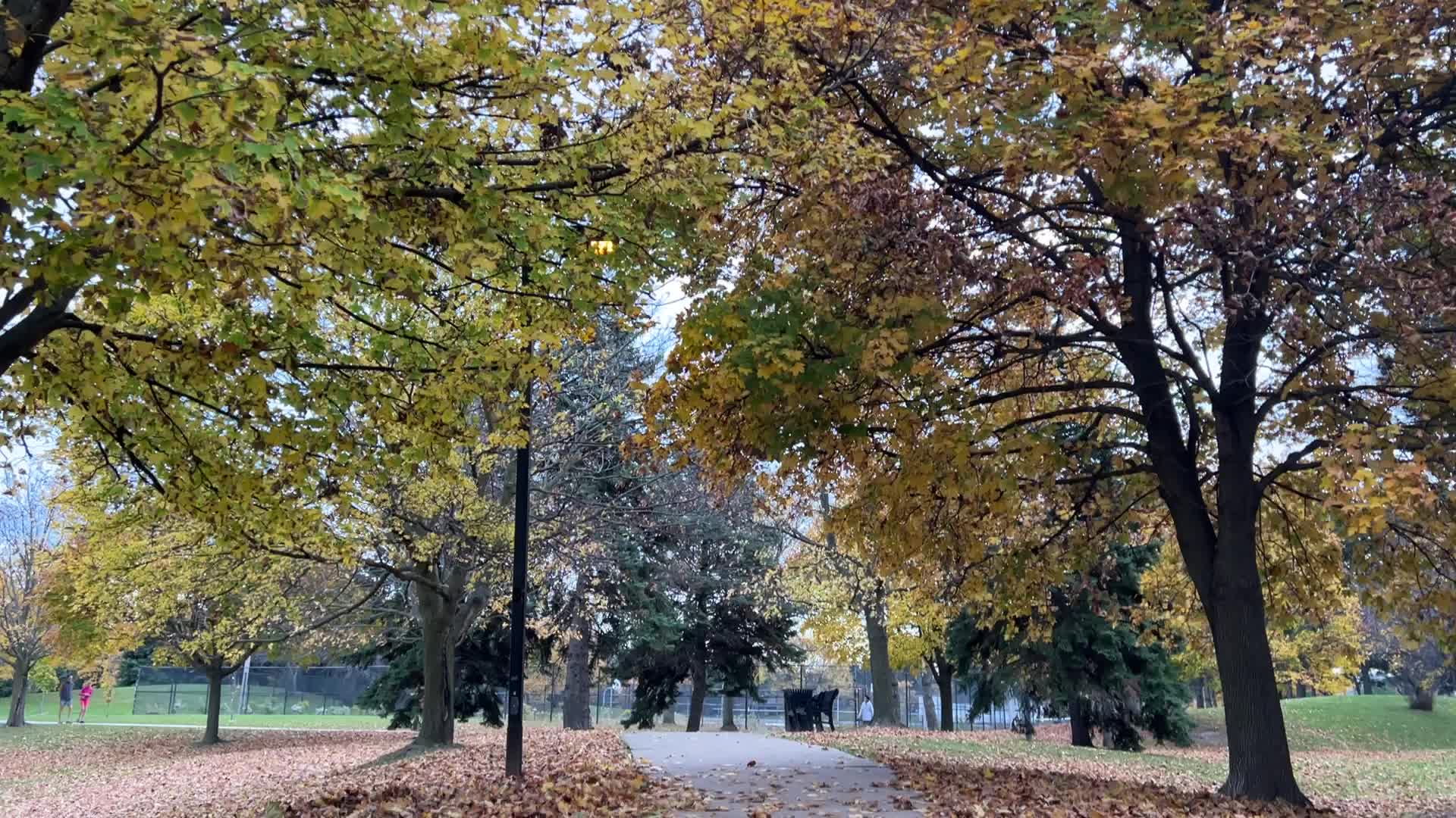 Toronto breaks 65-year-old temperature record