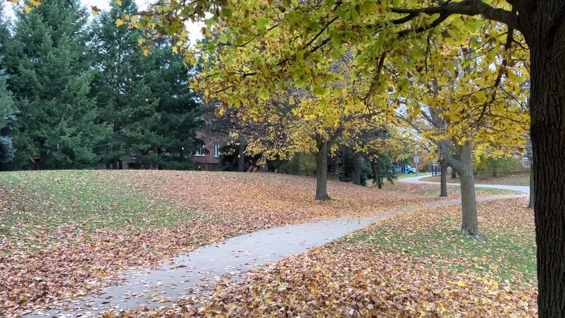 Toronto breaks 65-year-old temperature record