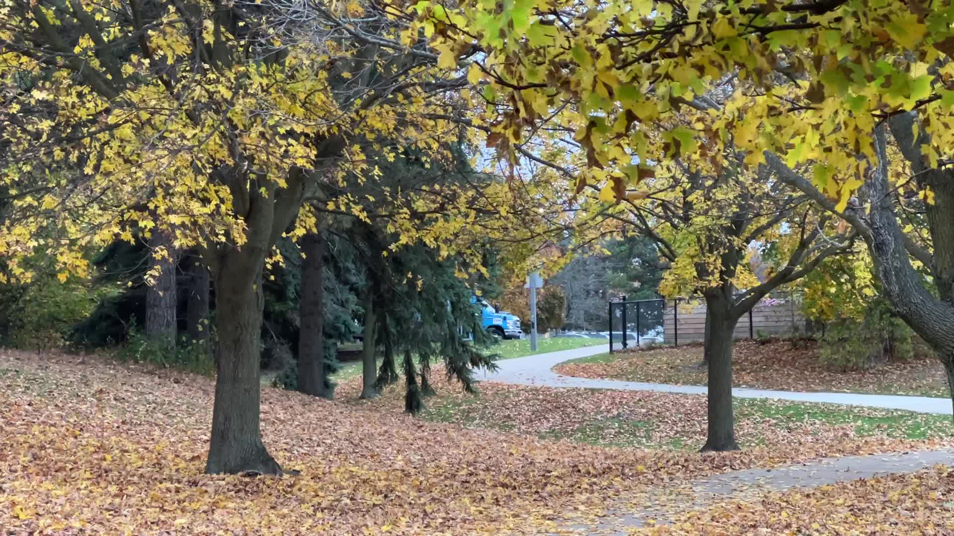 Toronto breaks 65-year-old temperature record