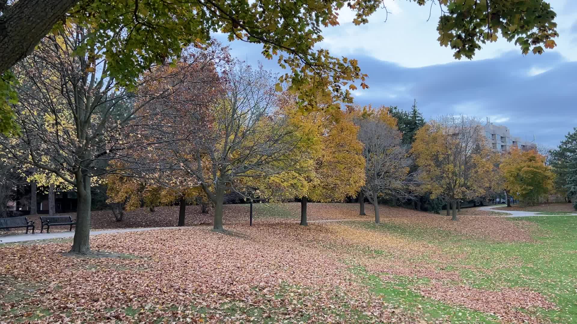 Toronto breaks 65-year-old temperature record