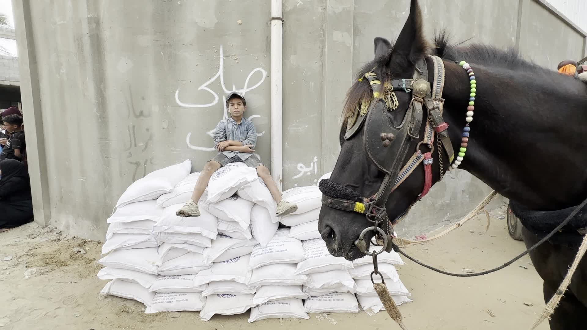 Humanitarian Aid In Gaza Amid Hamas-Israel Conflict