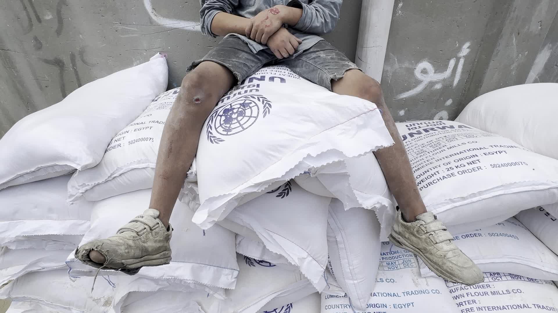 Humanitarian Aid In Gaza Amid Hamas-Israel Conflict