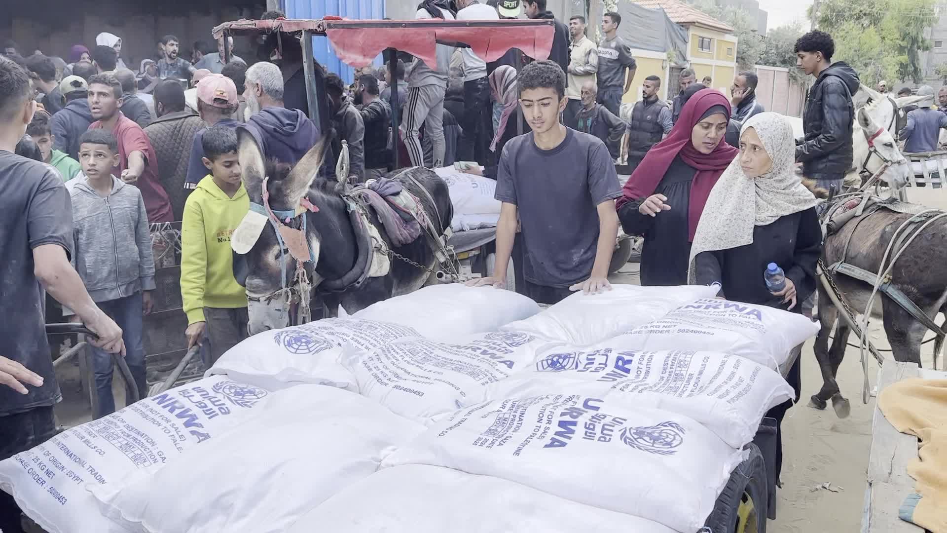 Humanitarian Aid In Gaza Amid Hamas-Israel Conflict
