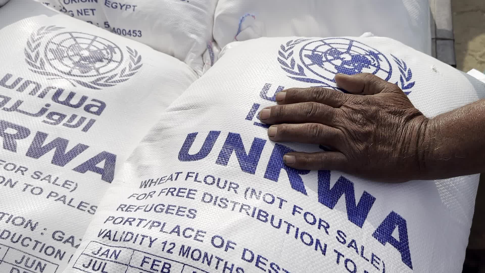 Humanitarian Aid In Gaza Amid Hamas-Israel Conflict