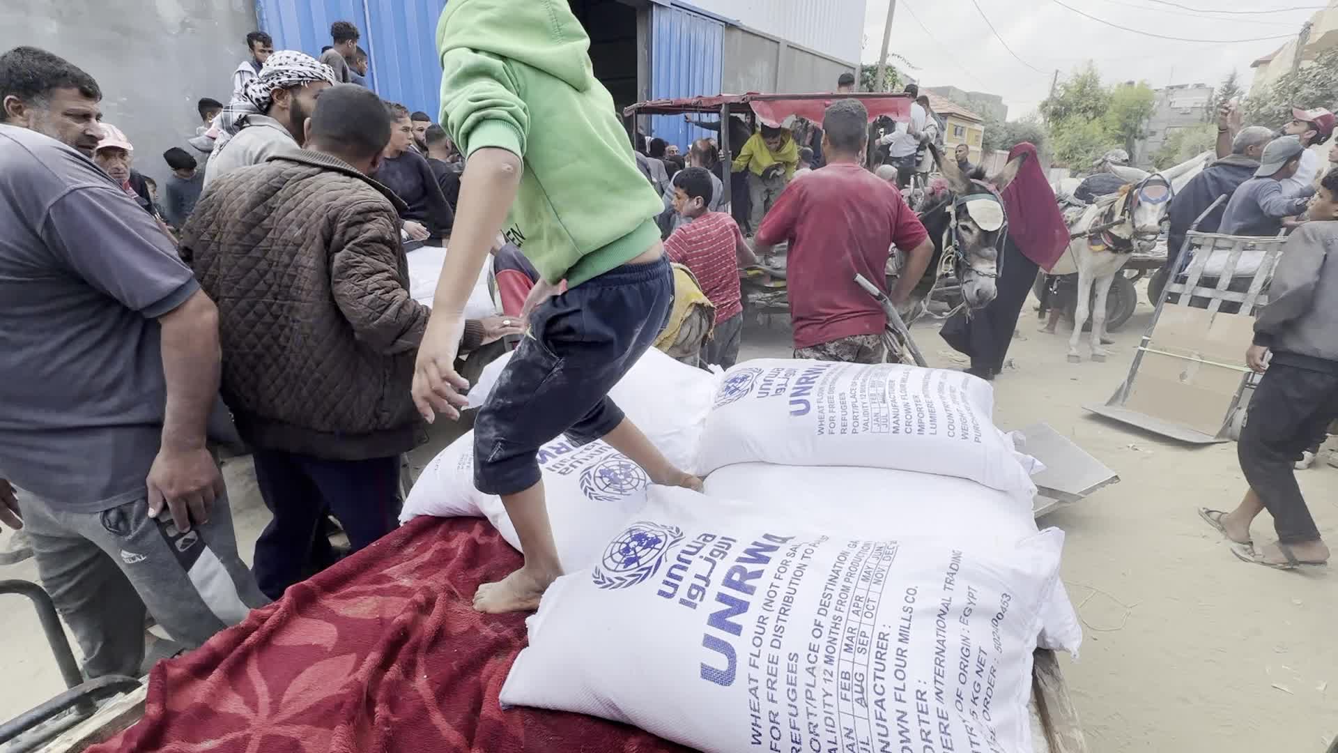 Humanitarian Aid In Gaza Amid Hamas-Israel Conflict