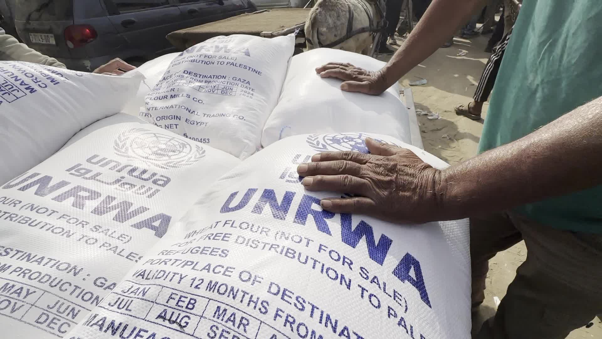 Humanitarian Aid In Gaza Amid Hamas-Israel Conflict