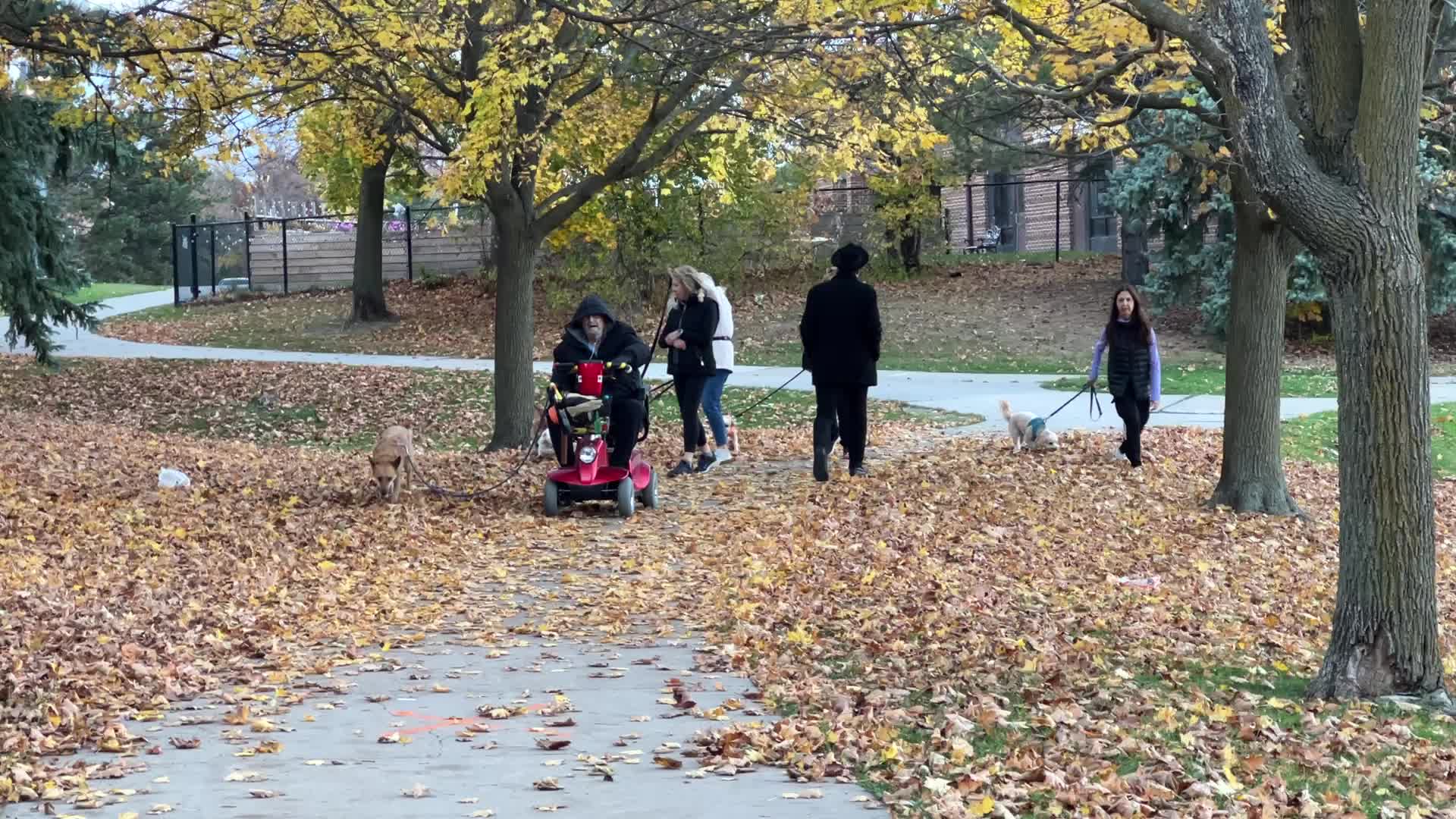 Autumn season in Toronto, Canada