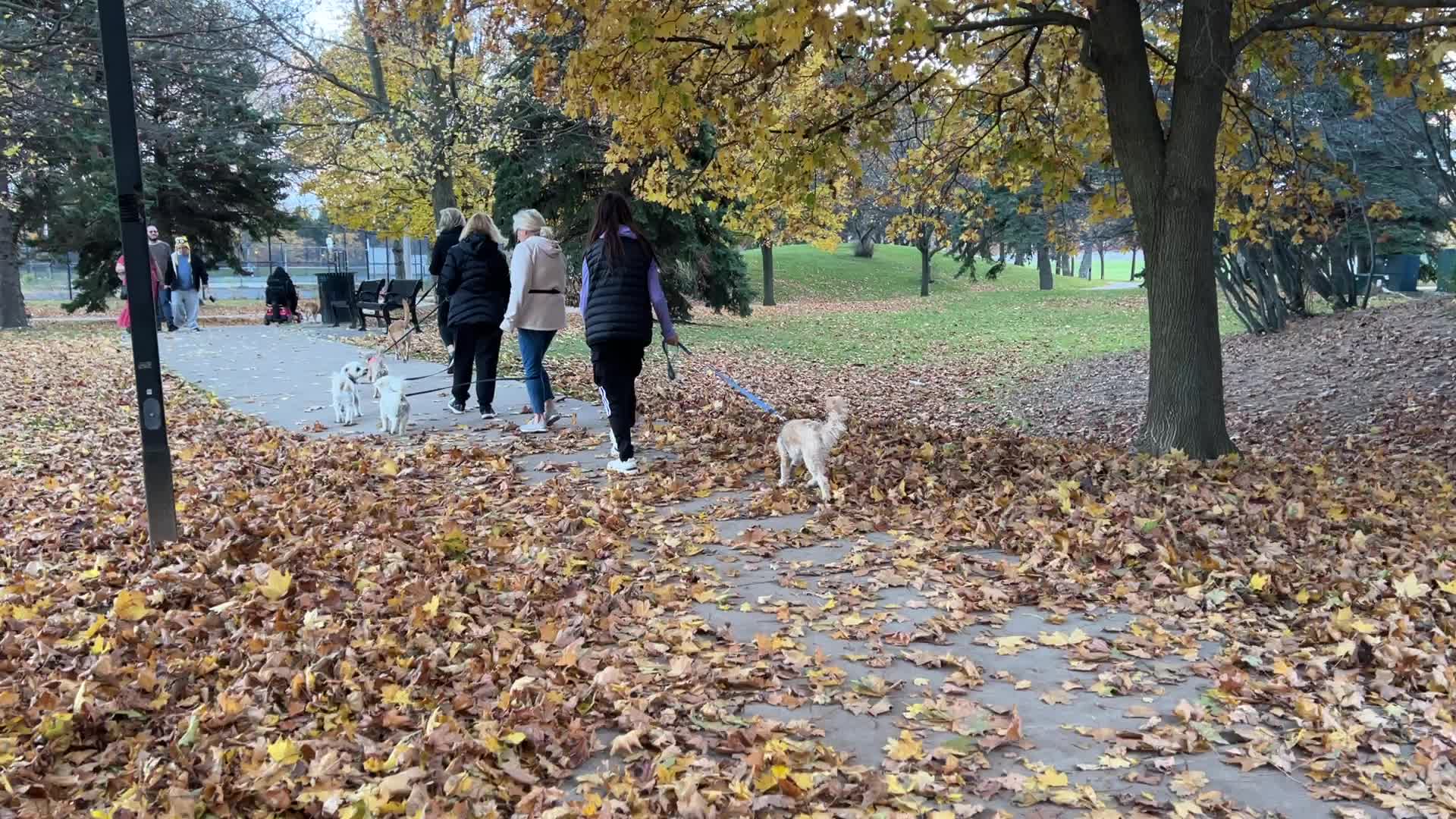Autumn season in Toronto, Canada