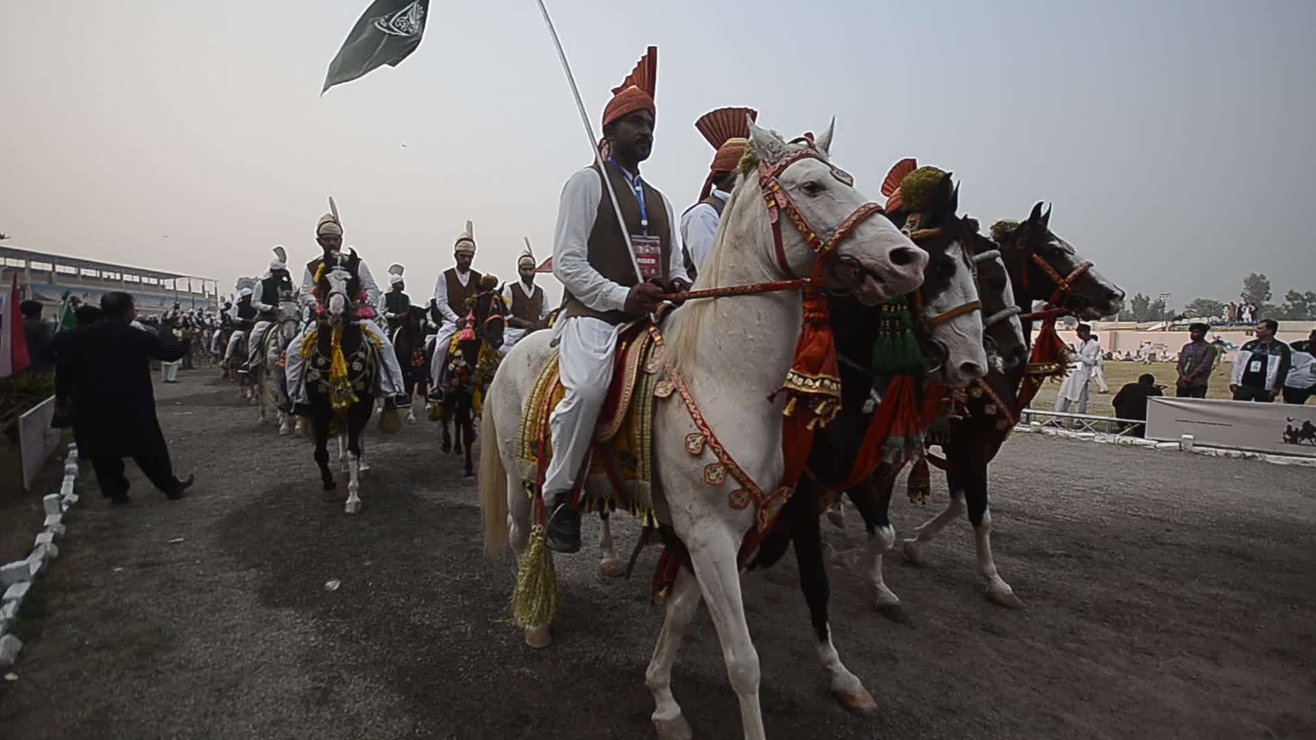 Horse and Cattle show in Peshawar

