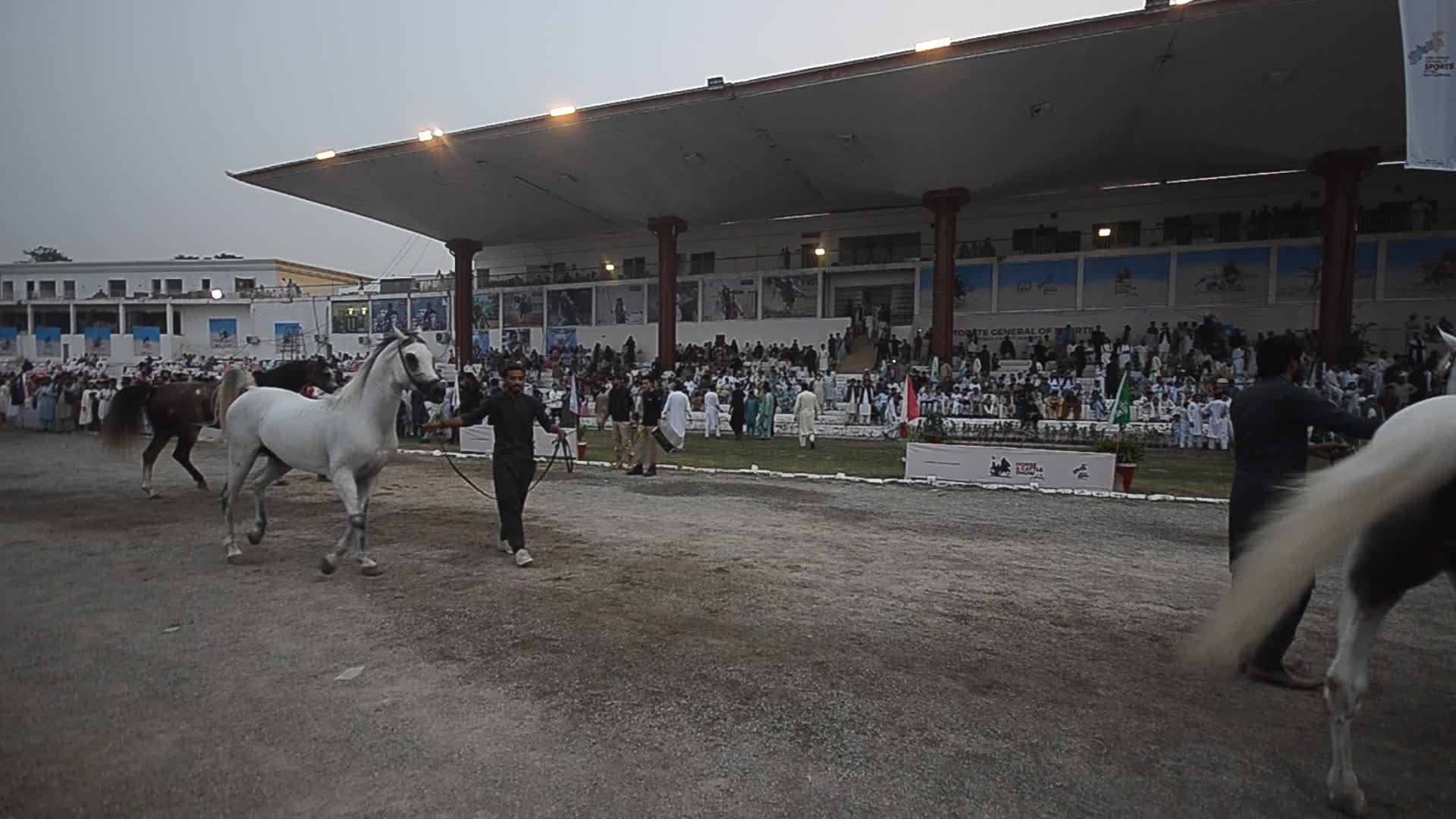 Horse and Cattle show in Peshawar
