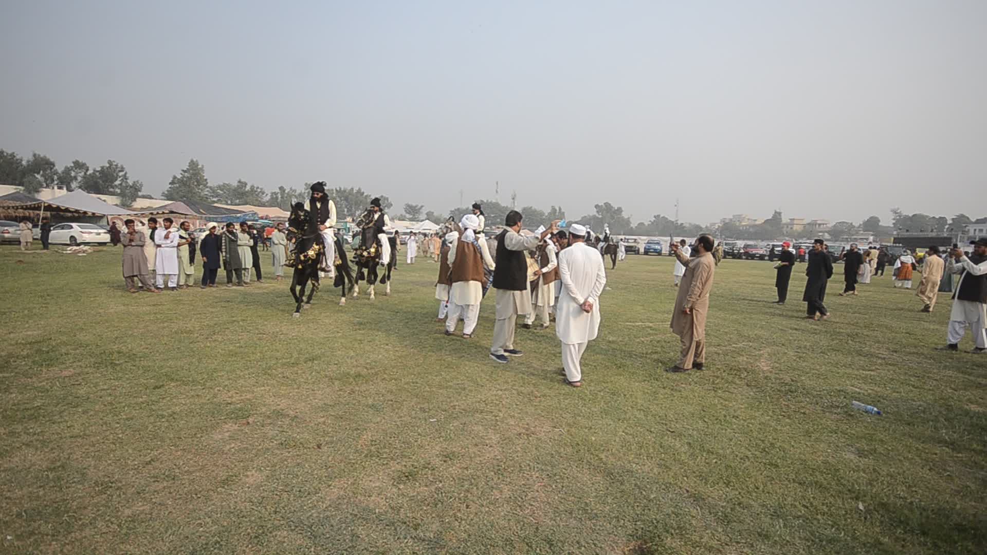 Horse and Cattle show in Peshawar
