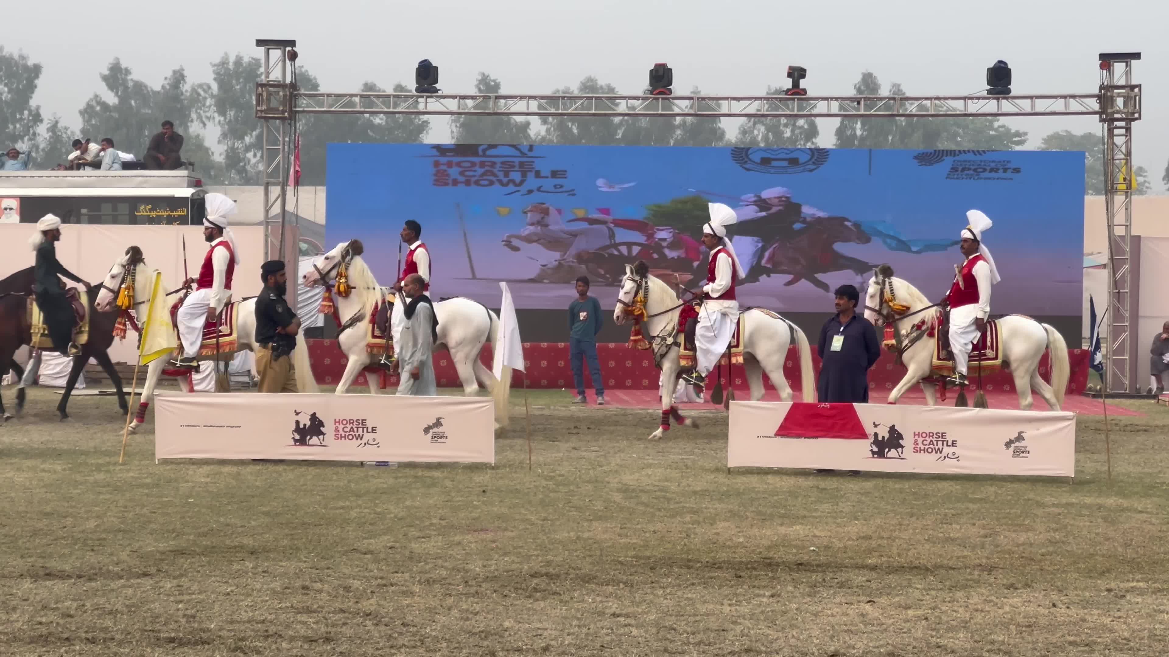 Horse And Cattle Show In Peshawar