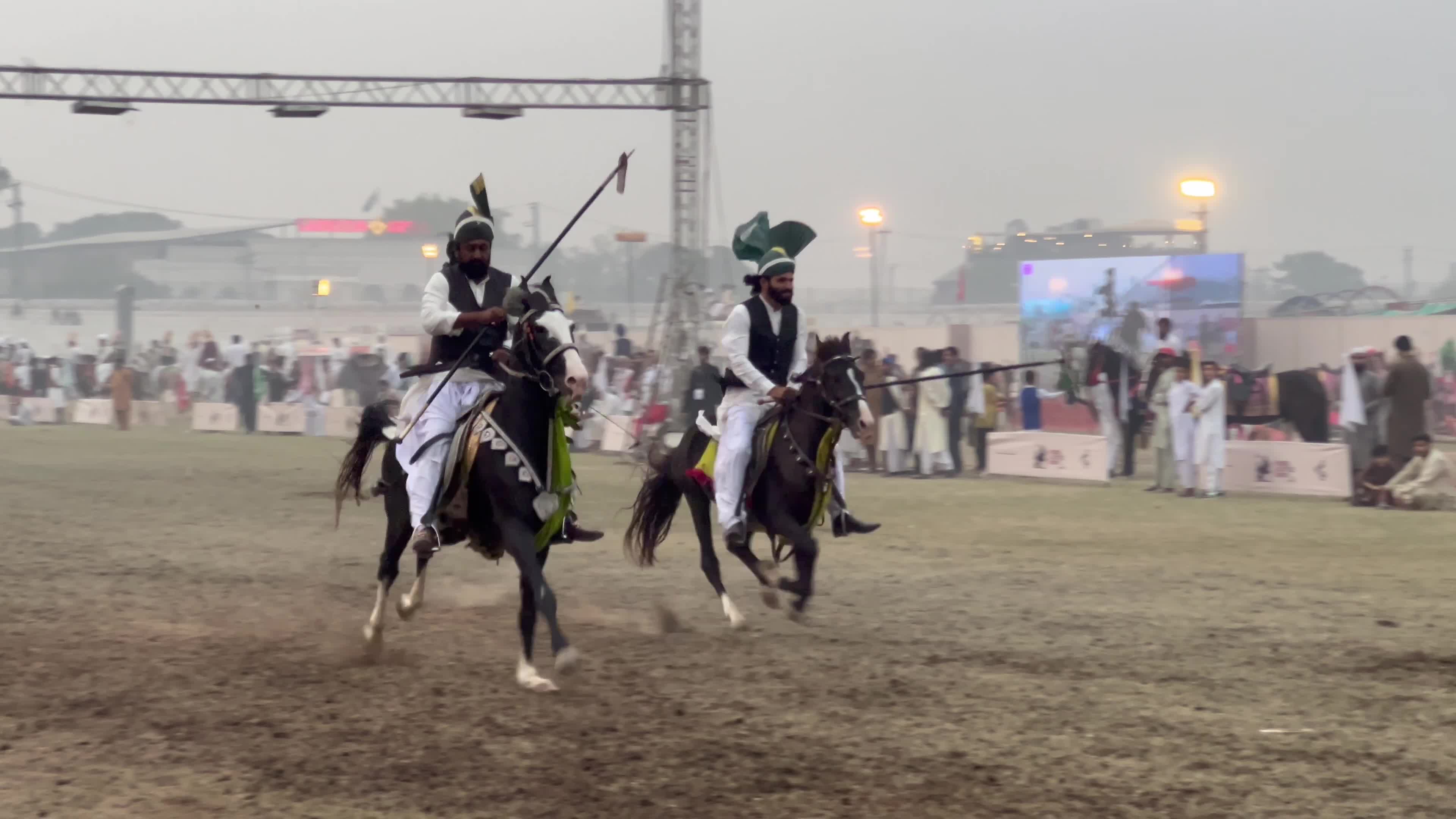 Horse and Cattle show in Peshawar