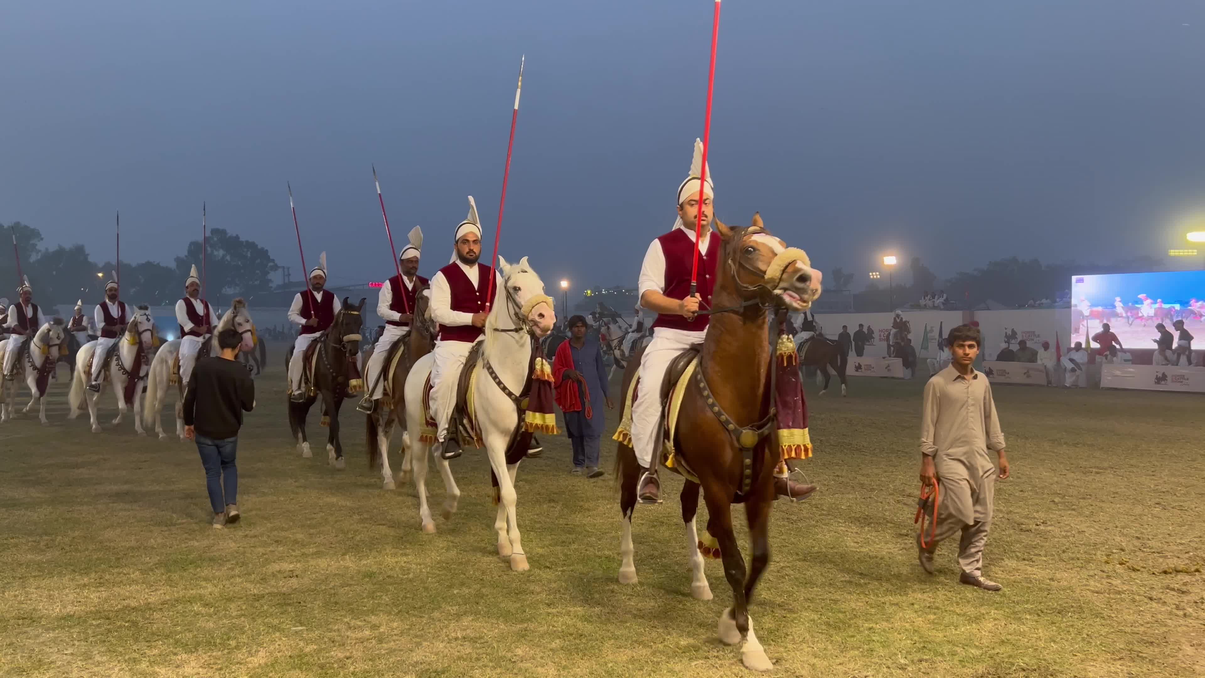 Horse and Cattle show in Peshawar