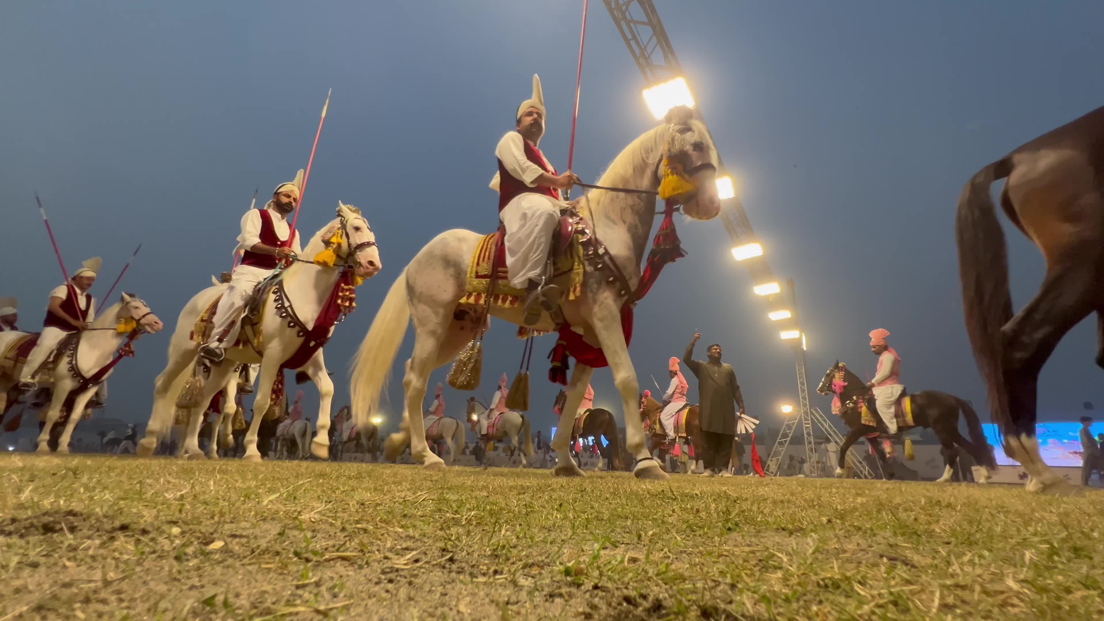Horse and Cattle show in Peshawar