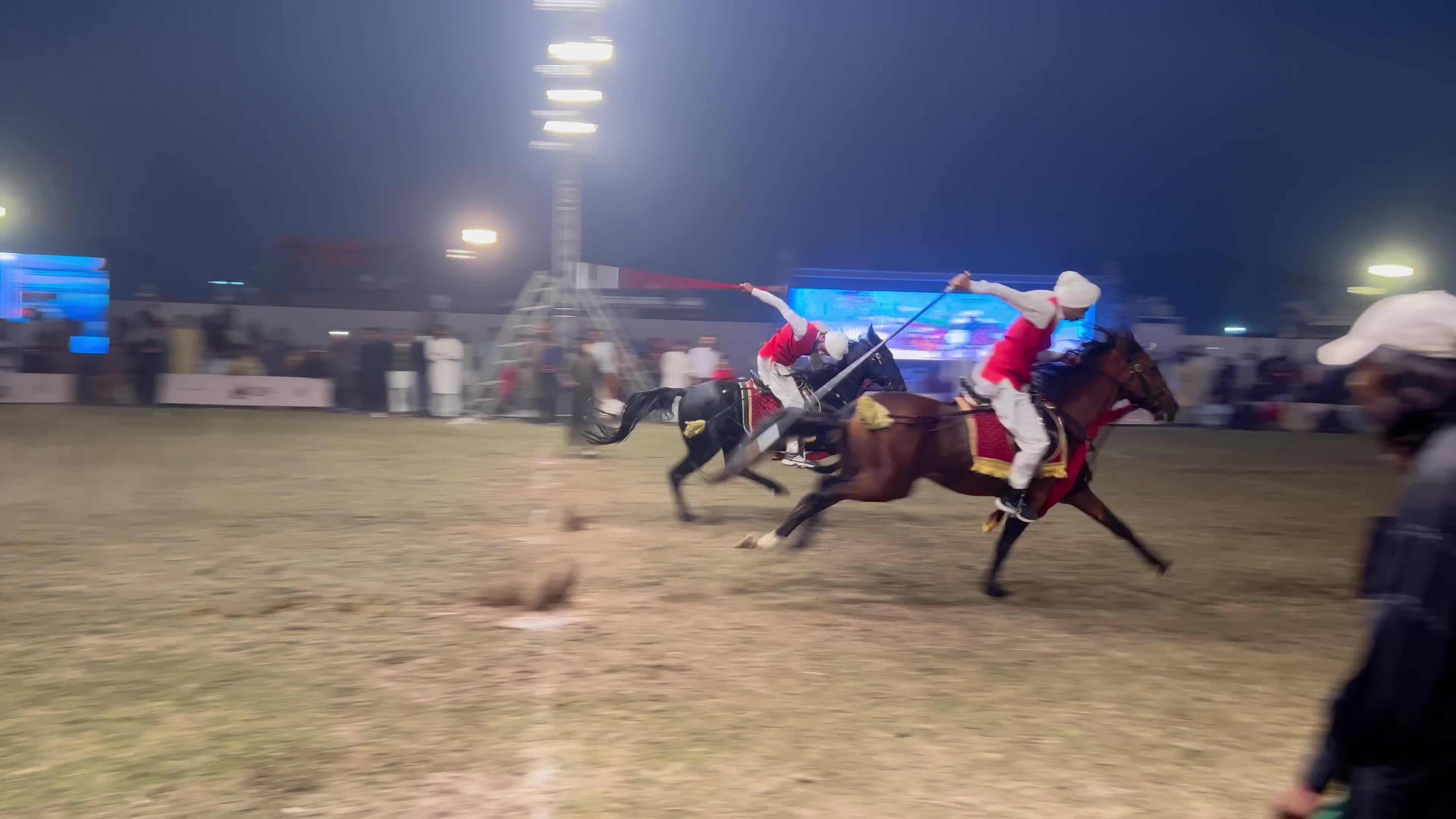 Horse and Cattle show in Peshawar
