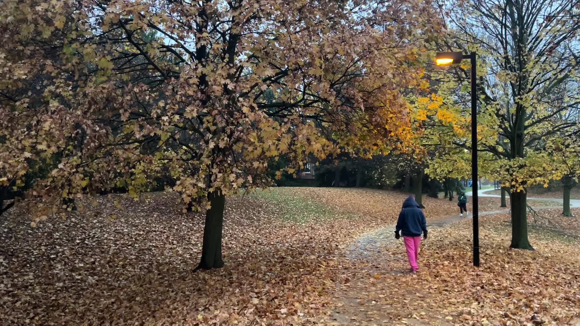 Rainy evening in Toronto, Canada