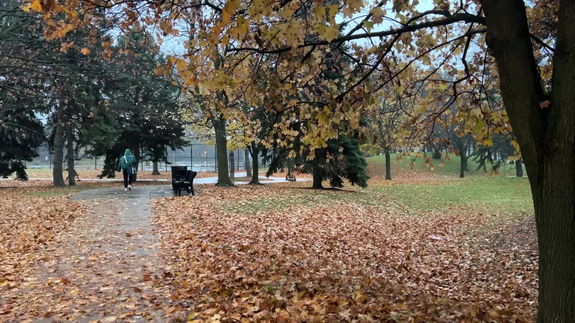 Rainy evening in Toronto, Canada