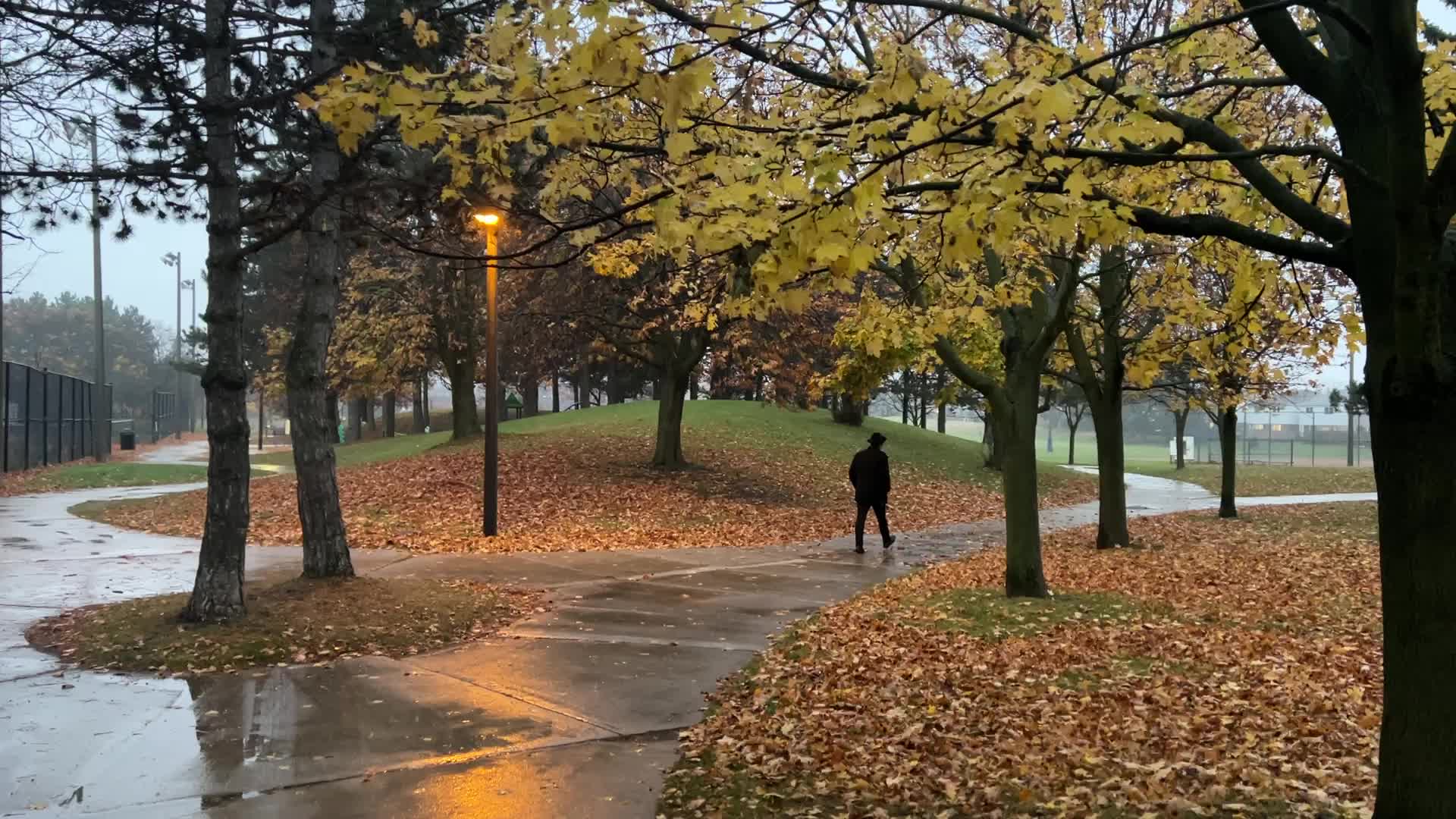 Rainy evening in Toronto, Canada