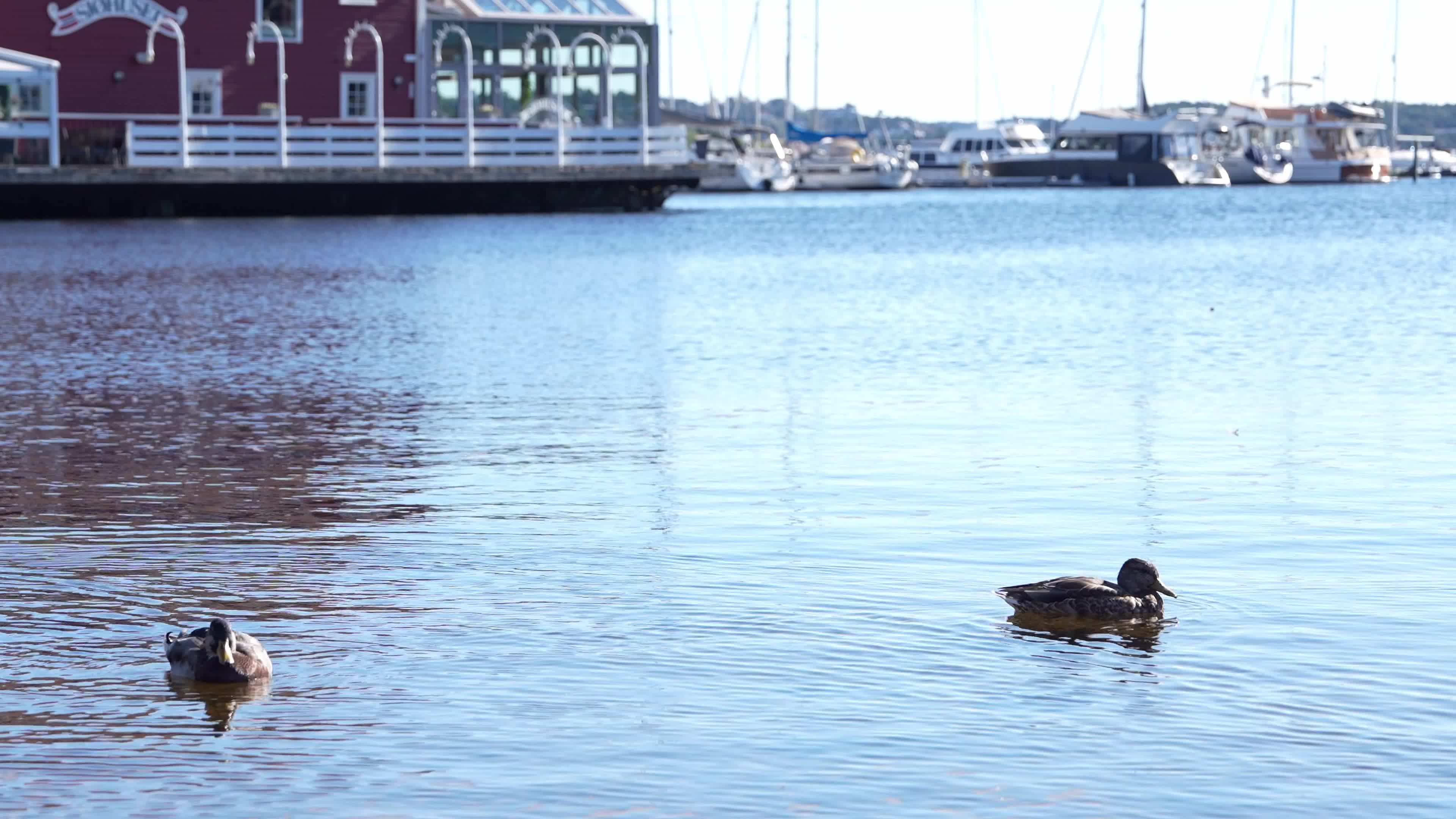 Norway: Kristiansand