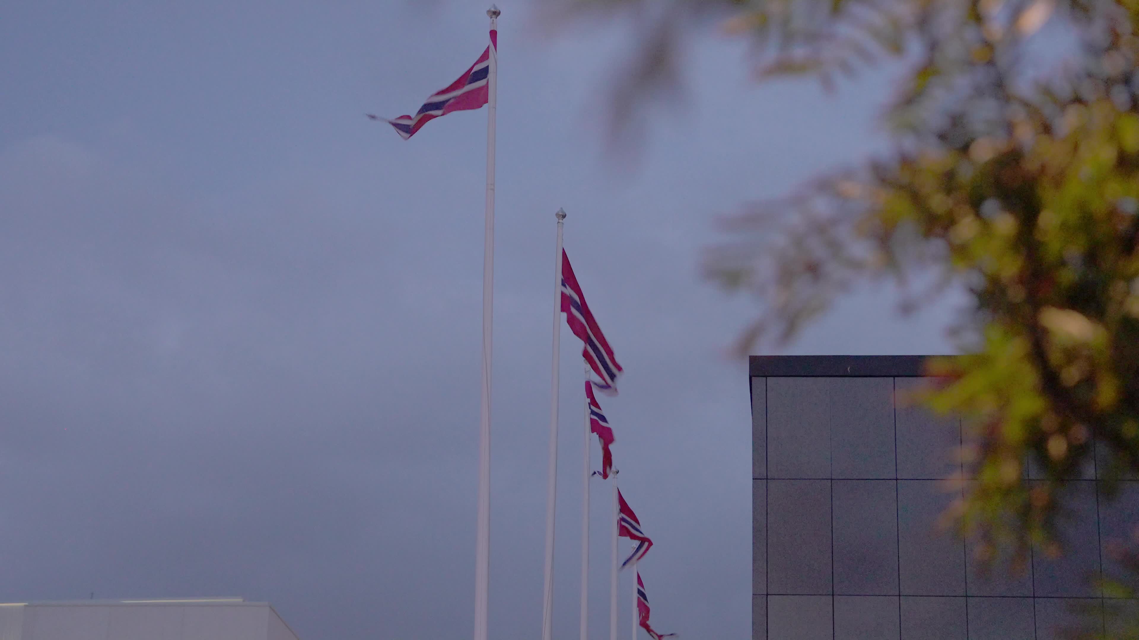 Windy Day In Bodø, Norway, Located North of the Arctic Circle