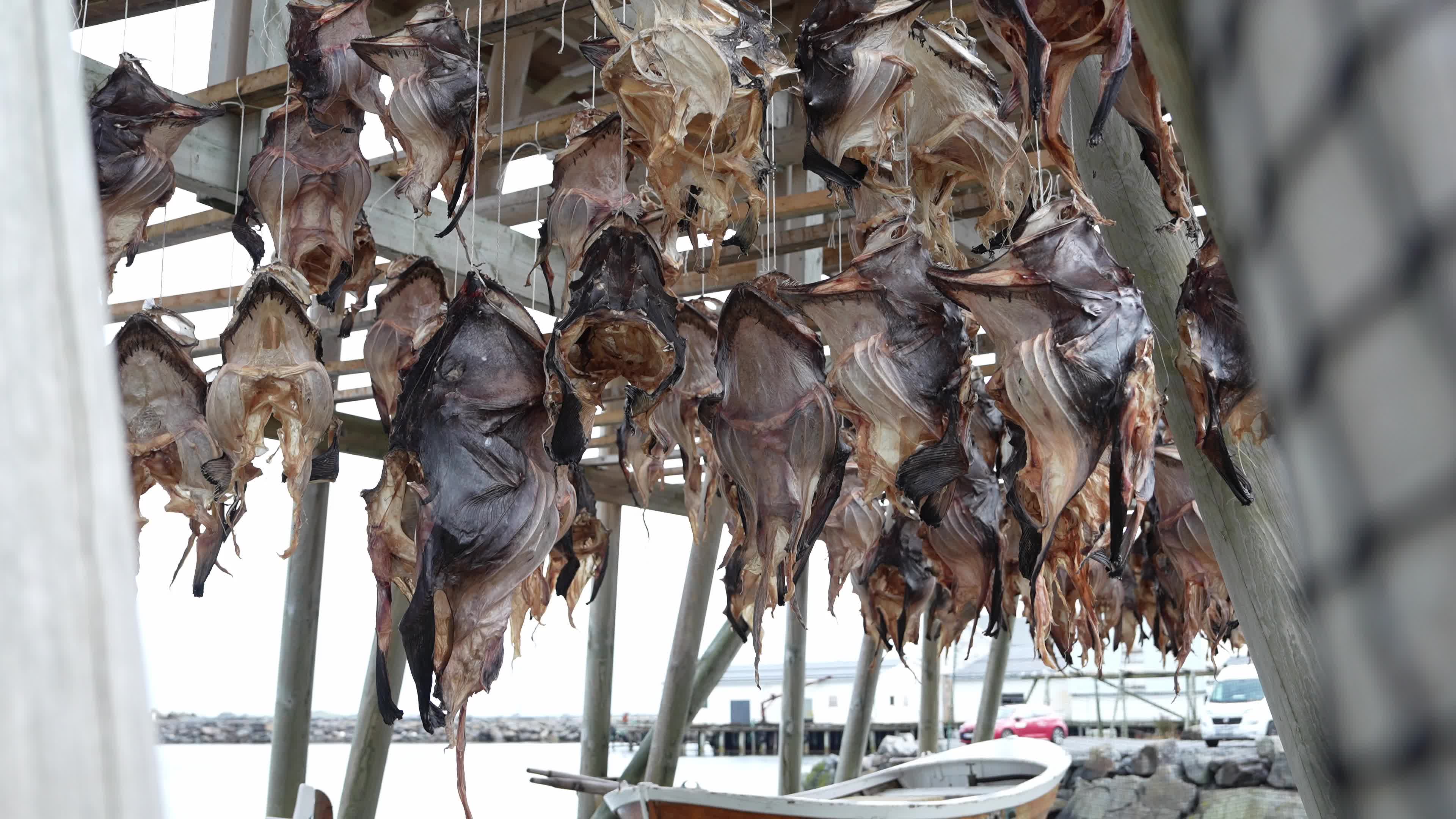Stockfish Production In The Lofoten Islands