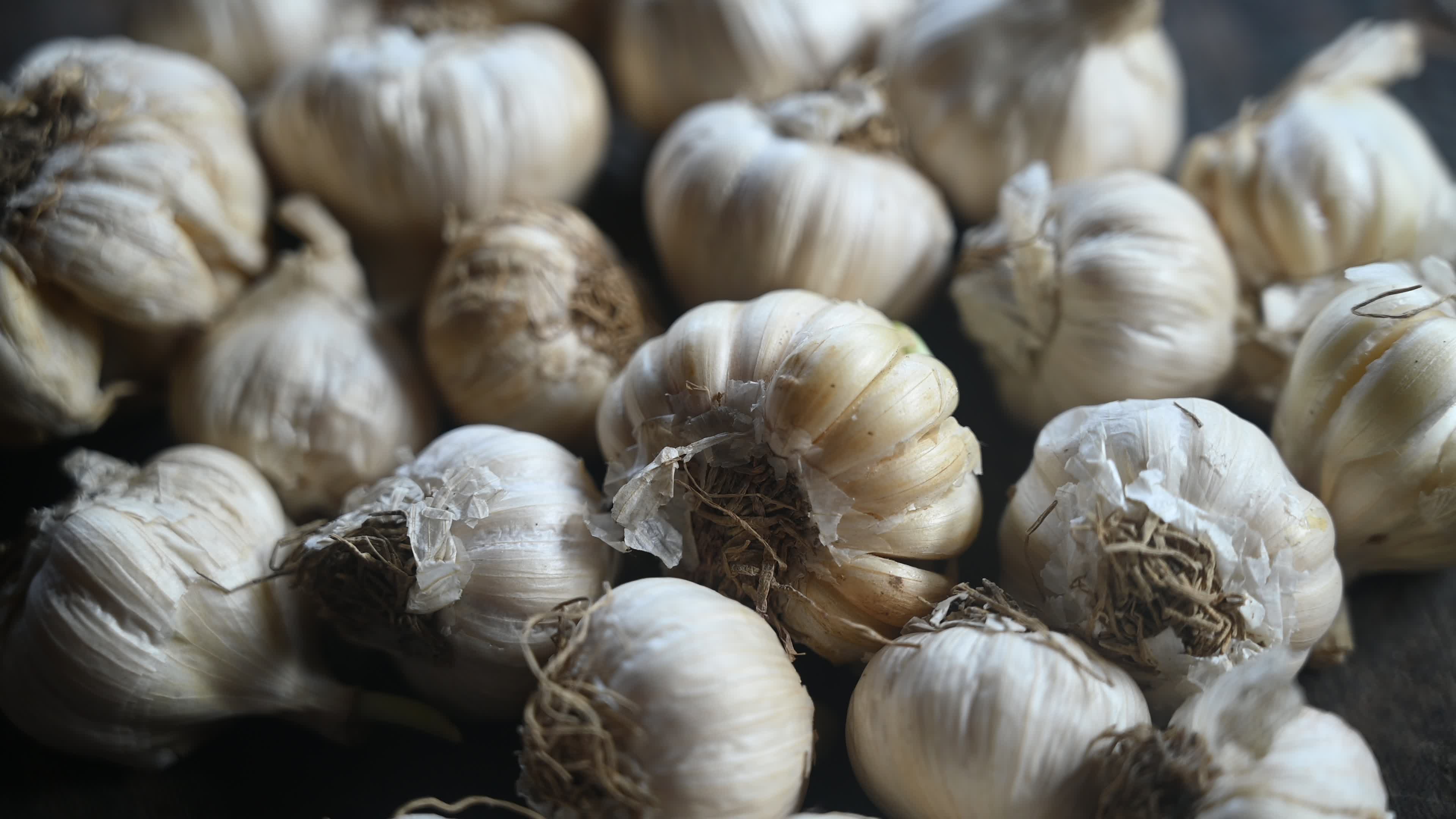 Garlic - Allium sativum - Indian Vegetables