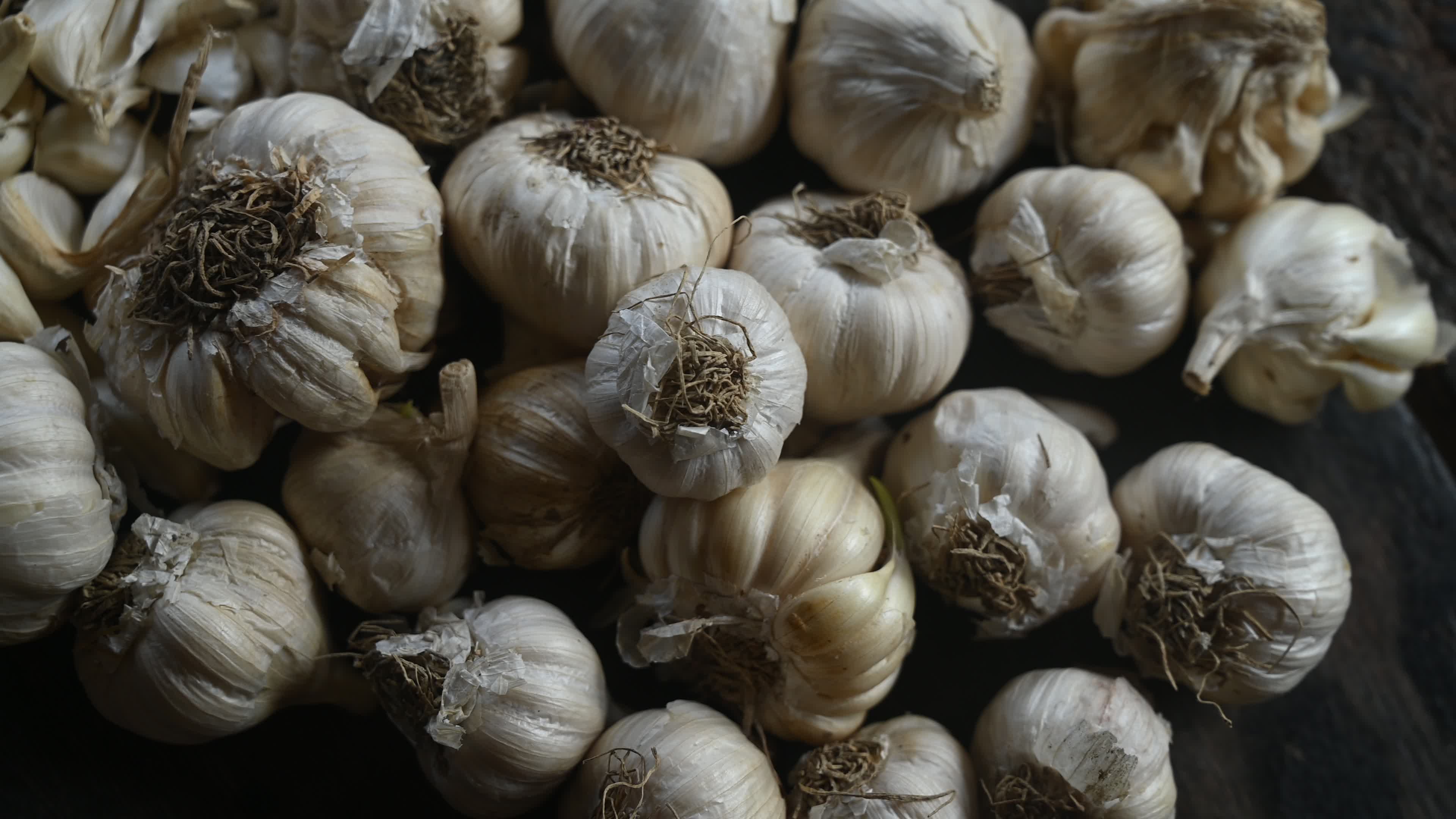 Garlic - Allium sativum - Indian Vegetables