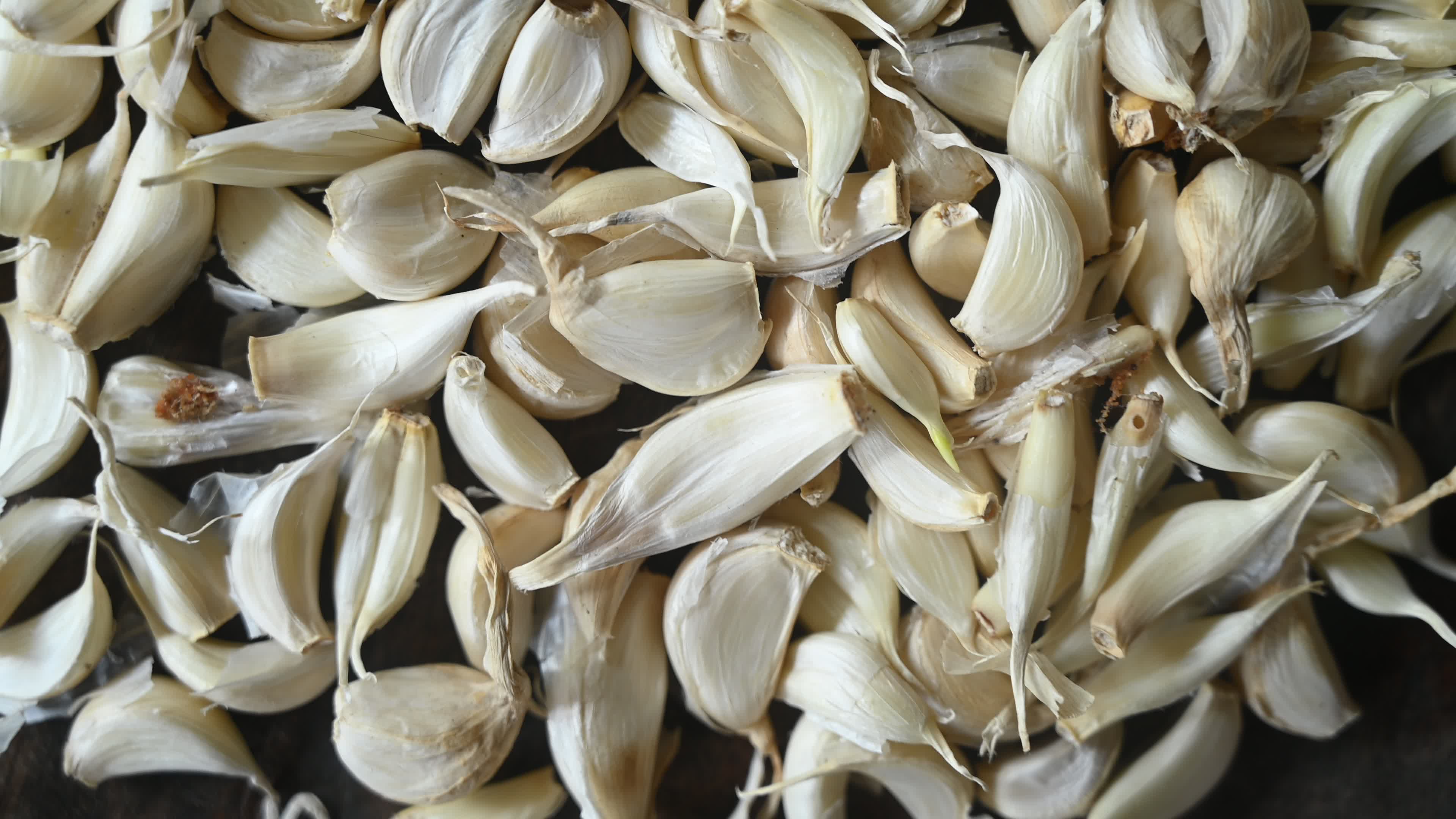 Garlic - Allium sativum - Indian Vegetables